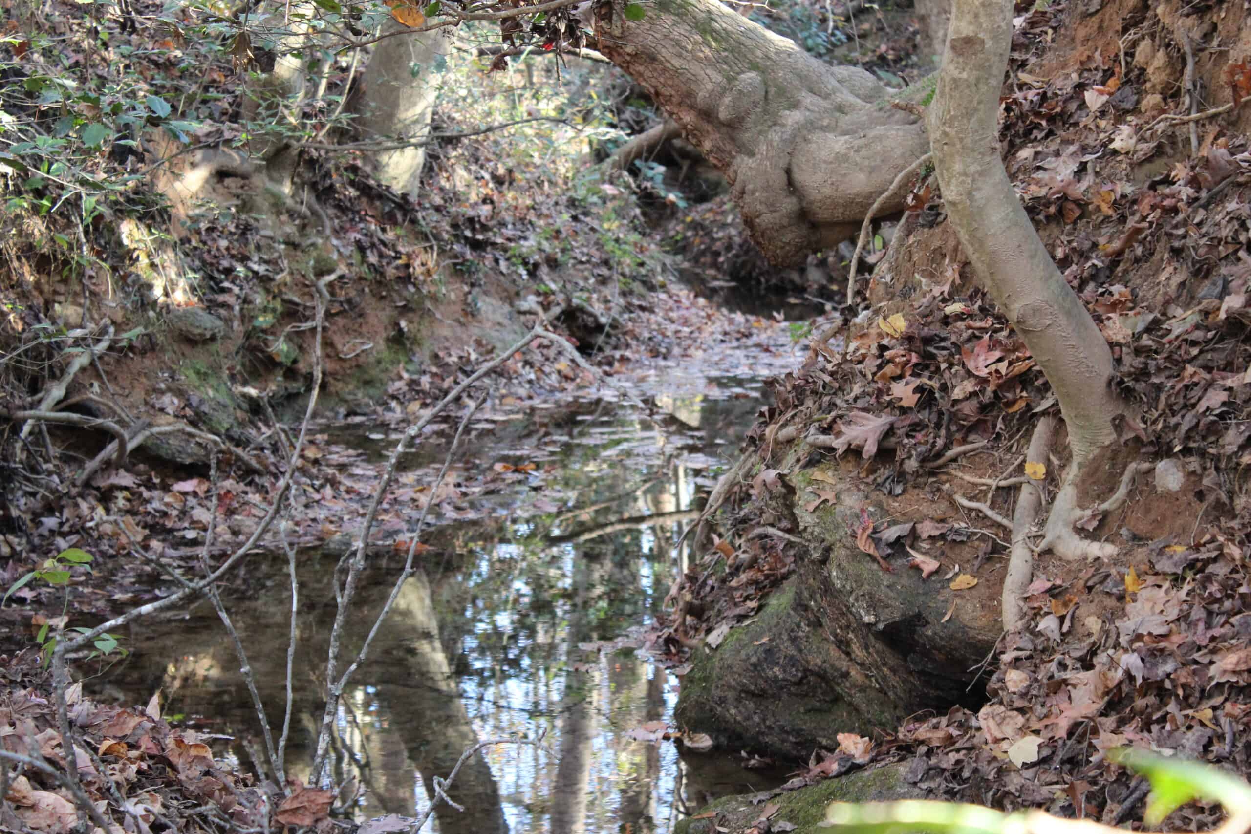 24 acres of beautiful hardwoods close to Lake Hartwell