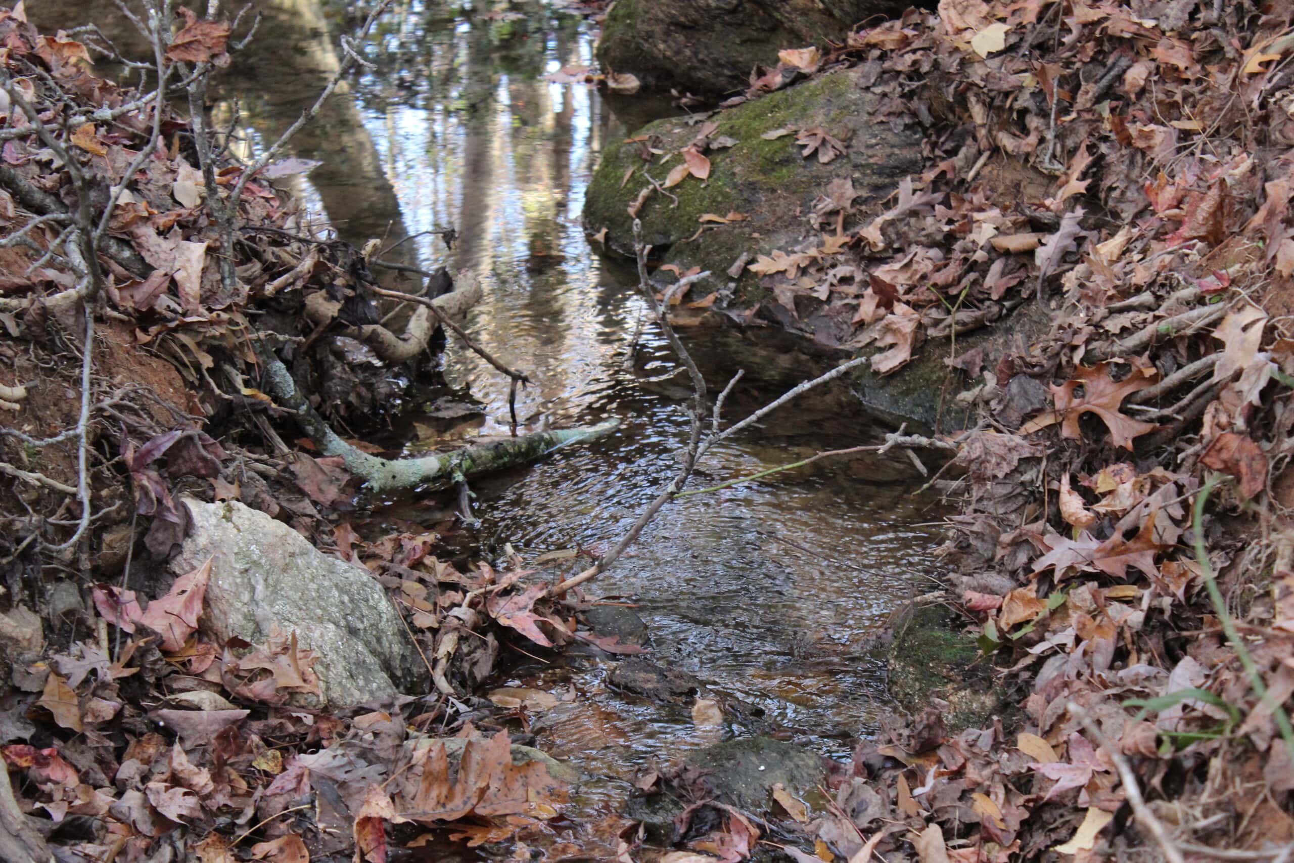 24 acres of beautiful hardwoods close to Lake Hartwell