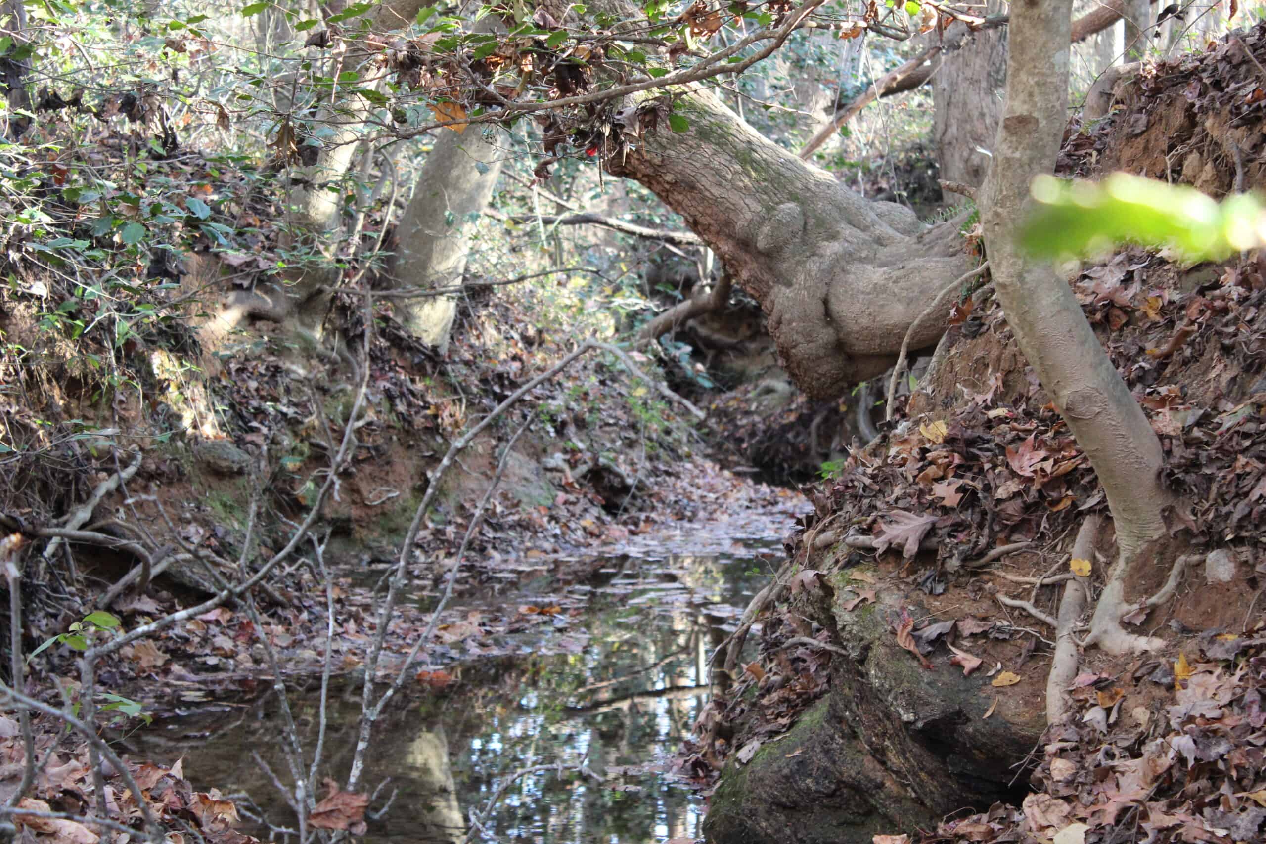 24 acres of beautiful hardwoods close to Lake Hartwell