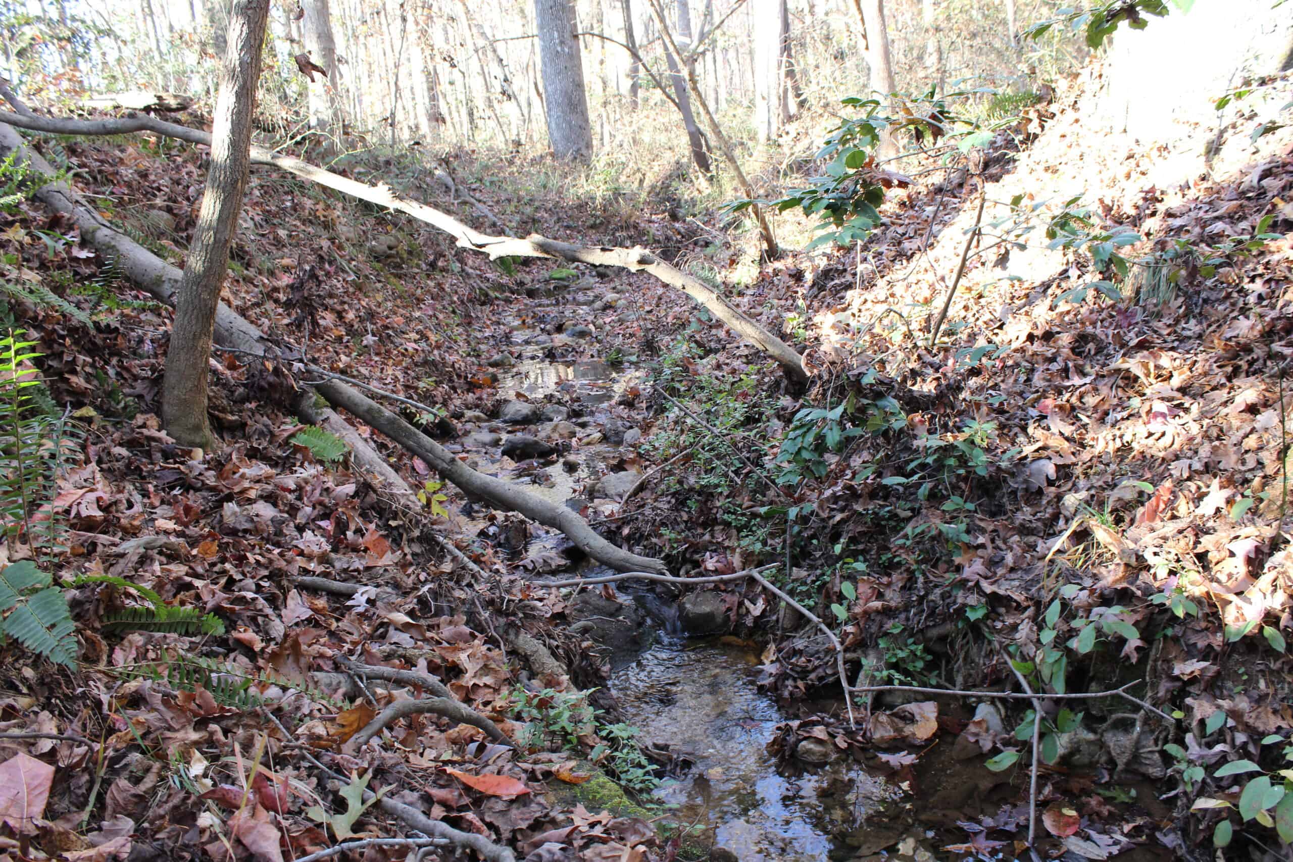 24 acres of beautiful hardwoods close to Lake Hartwell