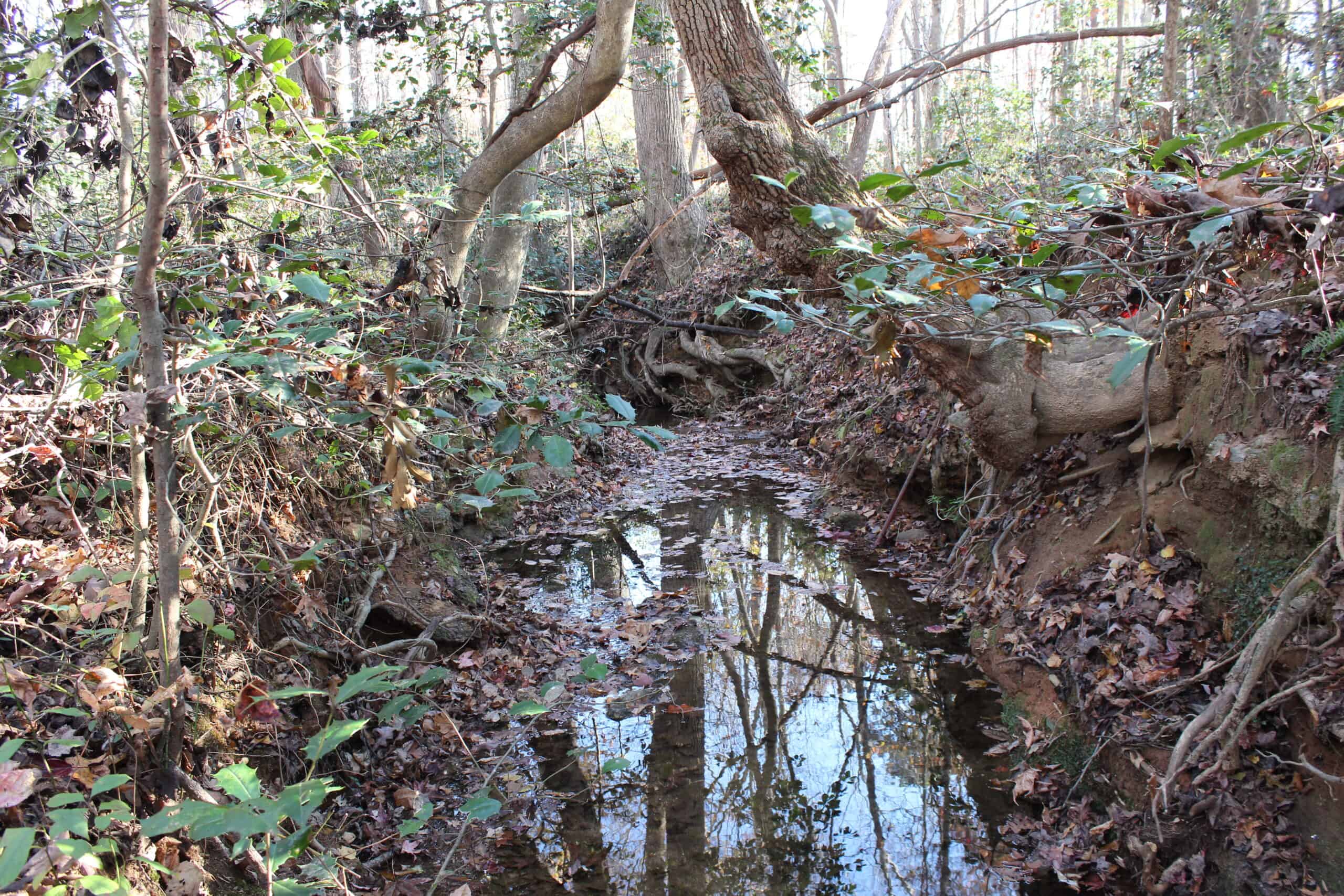 24 acres of beautiful hardwoods close to Lake Hartwell