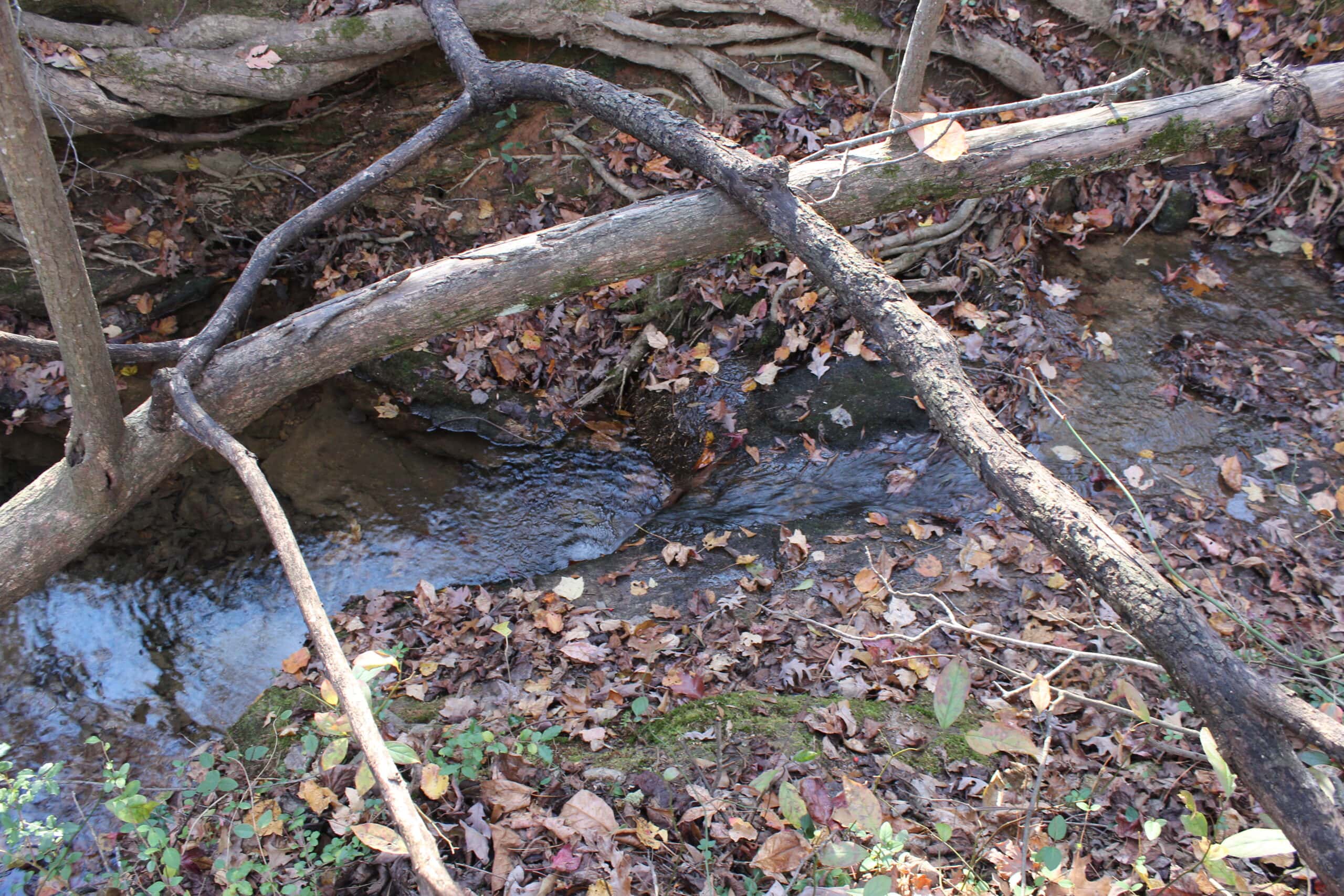 24 acres of beautiful hardwoods close to Lake Hartwell