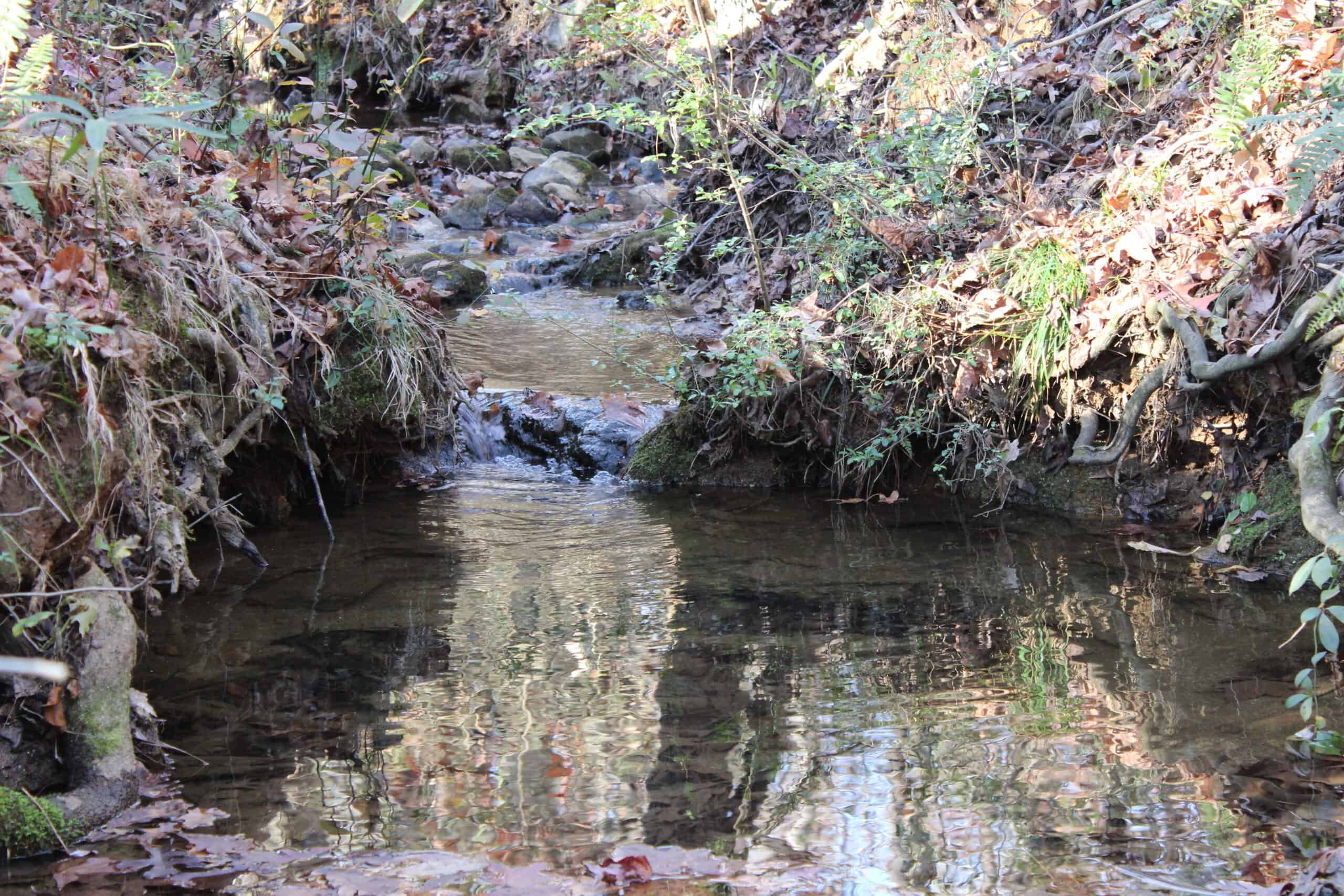 24 acres of beautiful hardwoods close to Lake Hartwell