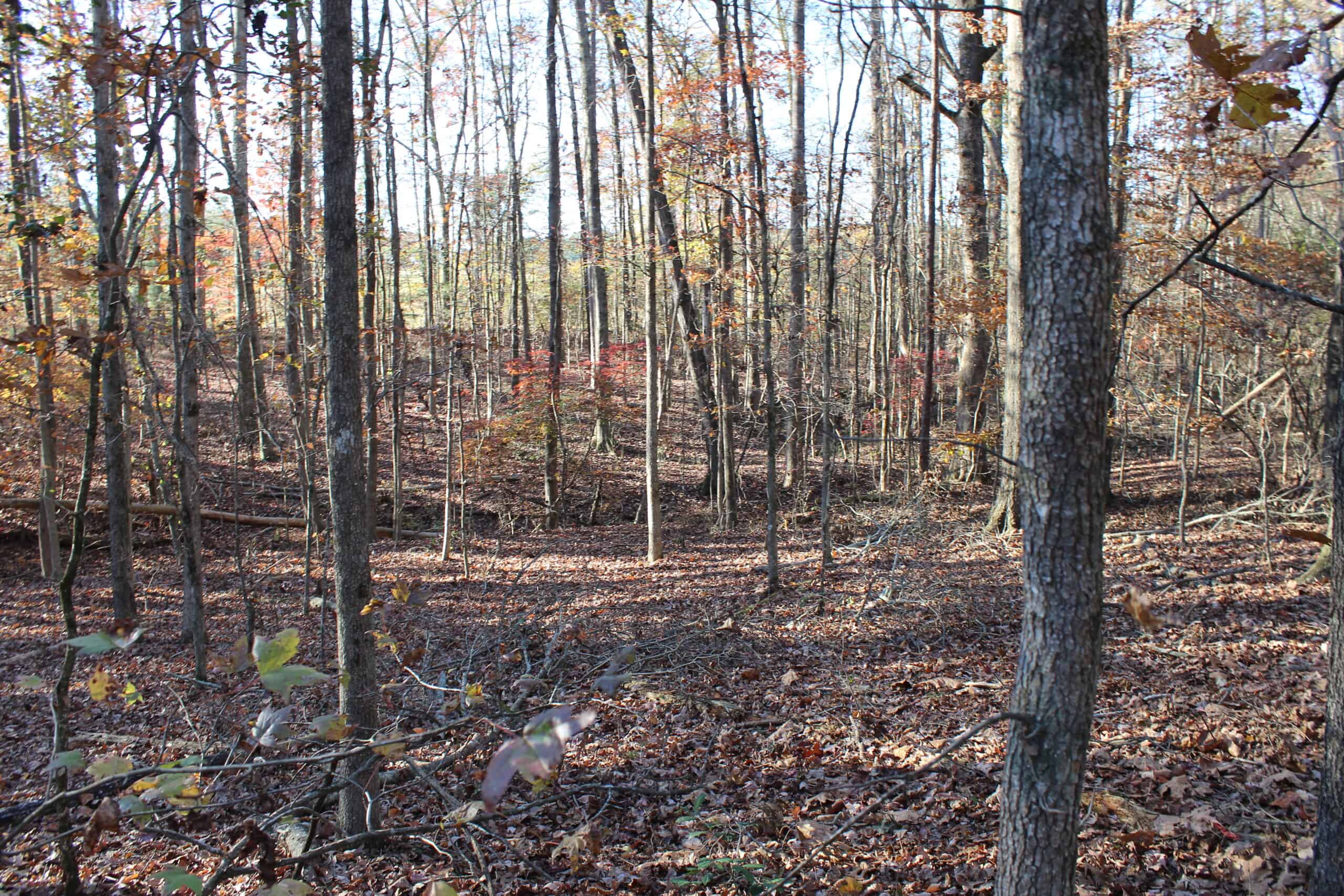 24 acres of beautiful hardwoods close to Lake Hartwell