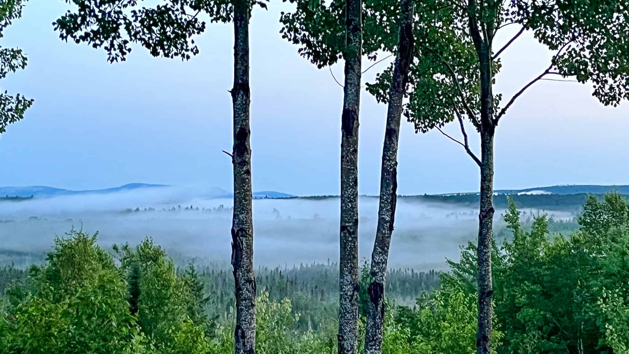 Secluded Cabin on 550 Acres with Stunning Views & Ultimate Privacy