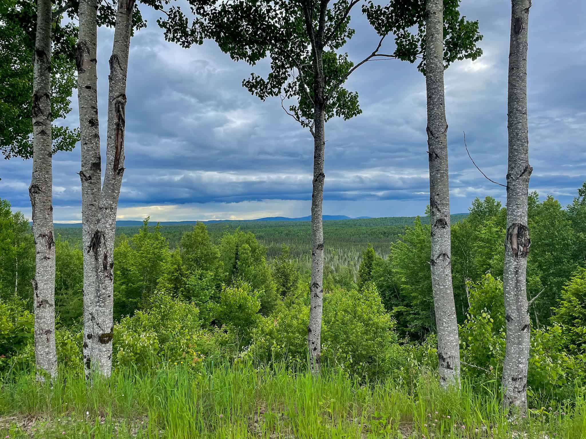Secluded Cabin on 550 Acres with Stunning Views & Ultimate Privacy