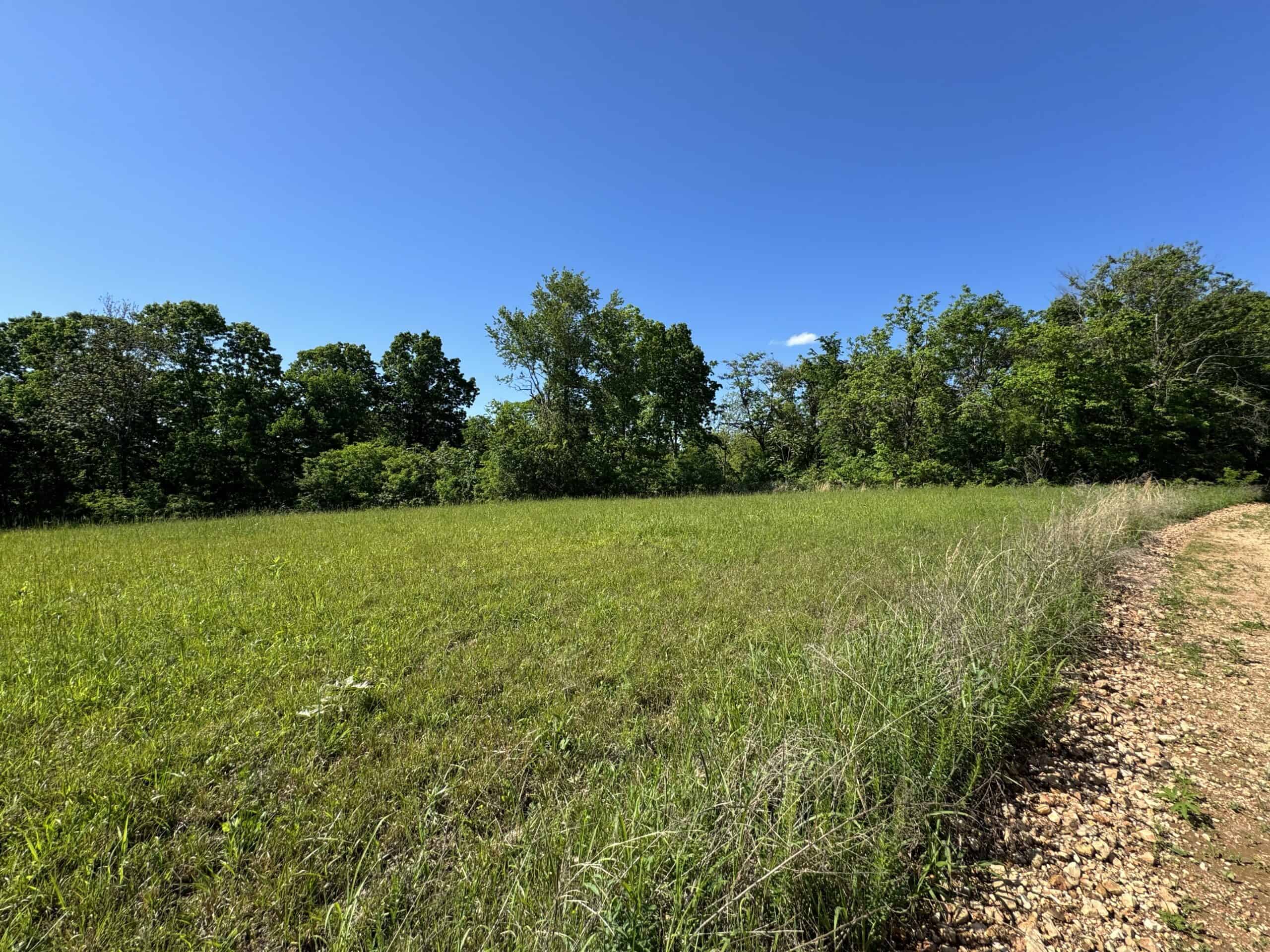 HOME WITH LARGE HUNTING ACREAGE AND FARMING LAND IN ARKANSAS