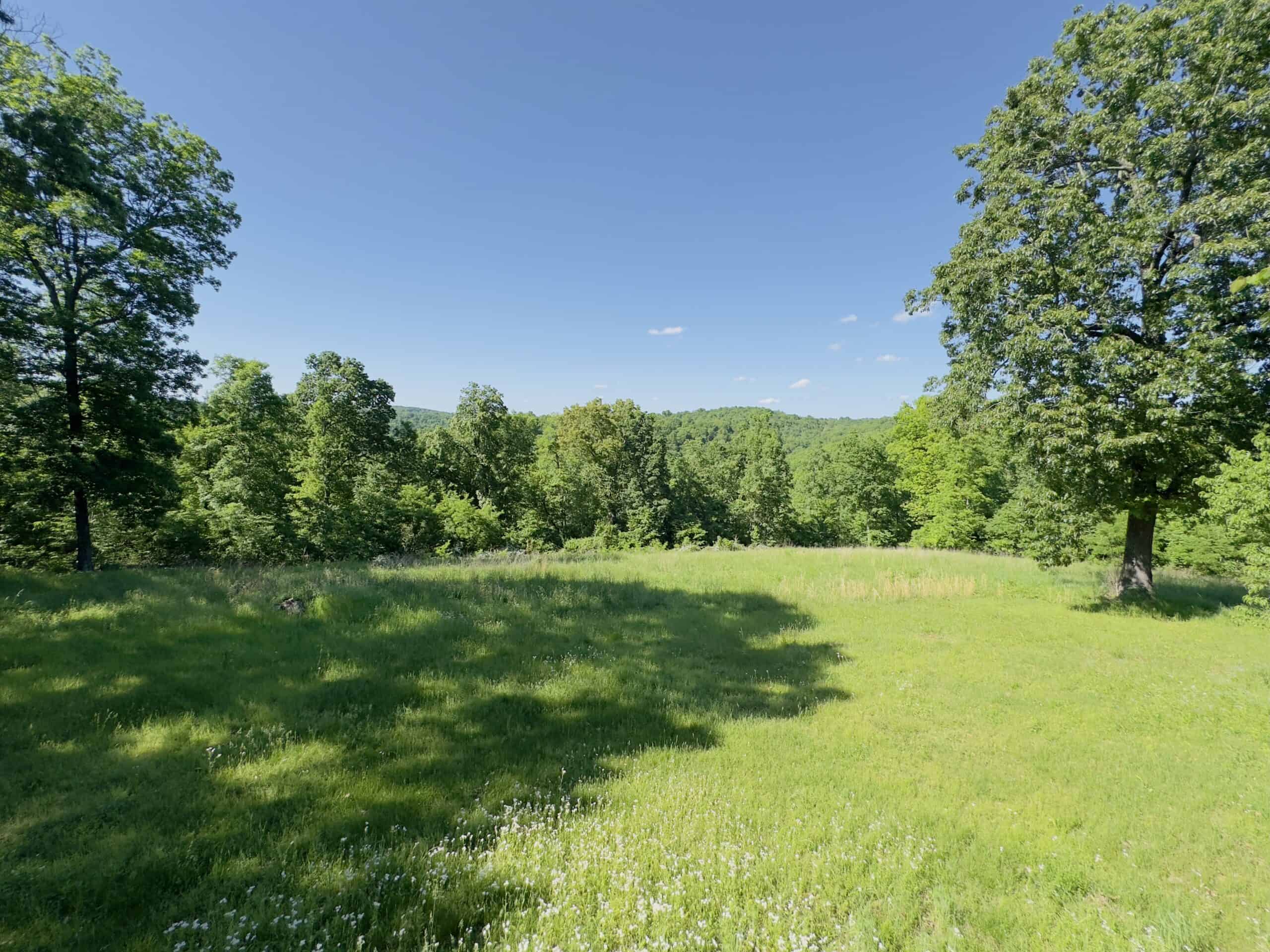 HOME WITH LARGE HUNTING ACREAGE AND FARMING LAND IN ARKANSAS