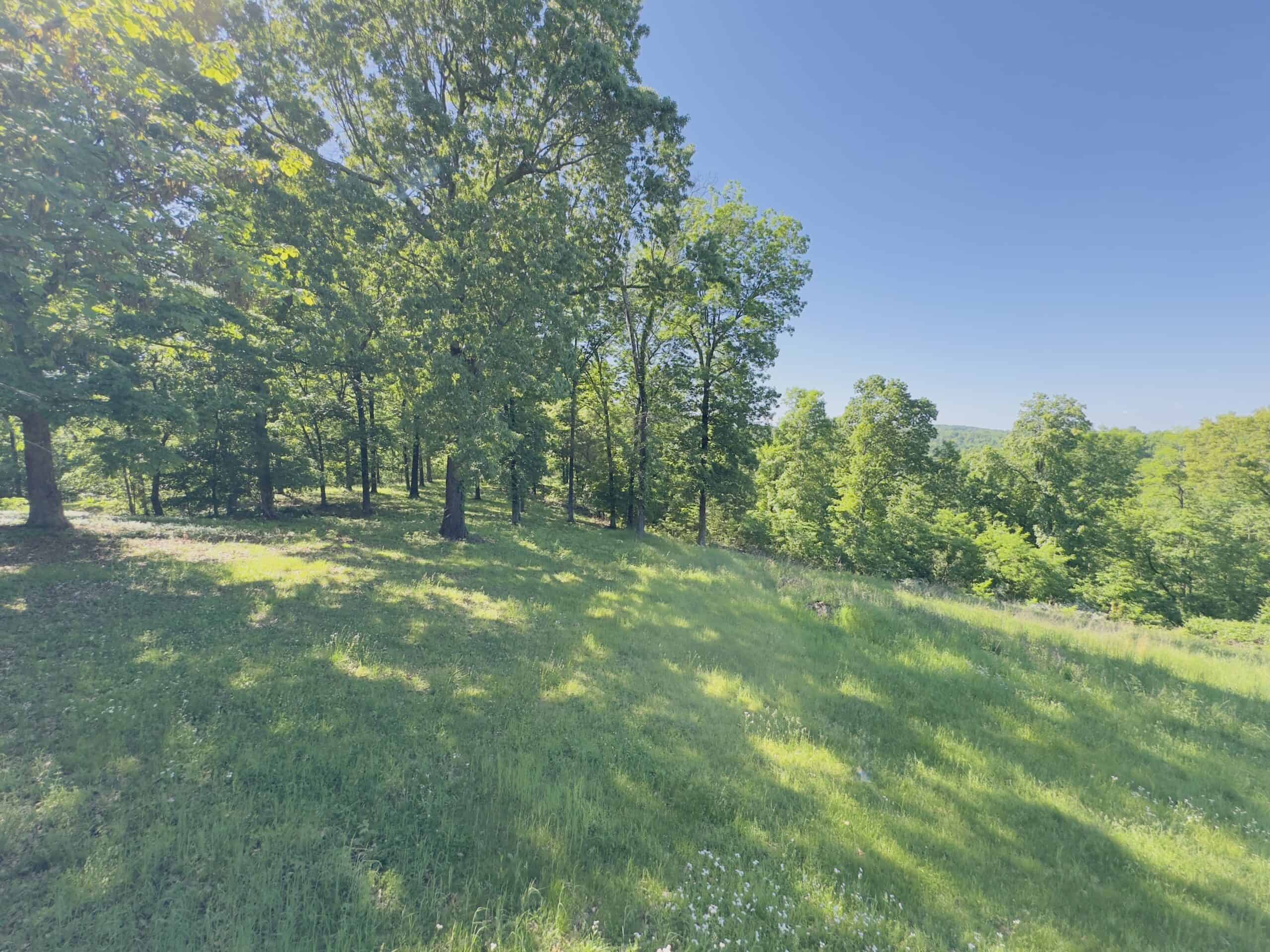 HOME WITH LARGE HUNTING ACREAGE AND FARMING LAND IN ARKANSAS