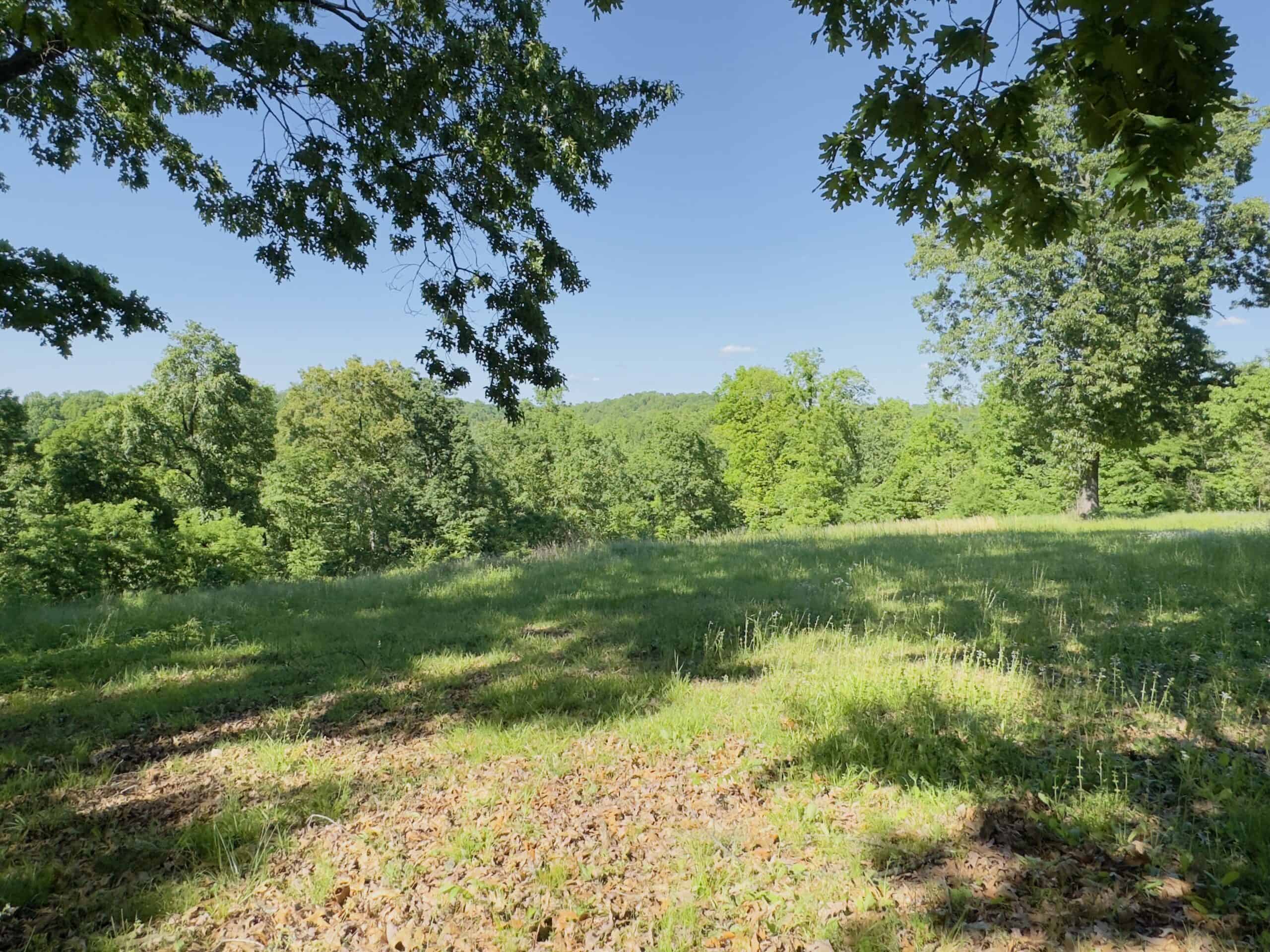 HOME WITH LARGE HUNTING ACREAGE AND FARMING LAND IN ARKANSAS