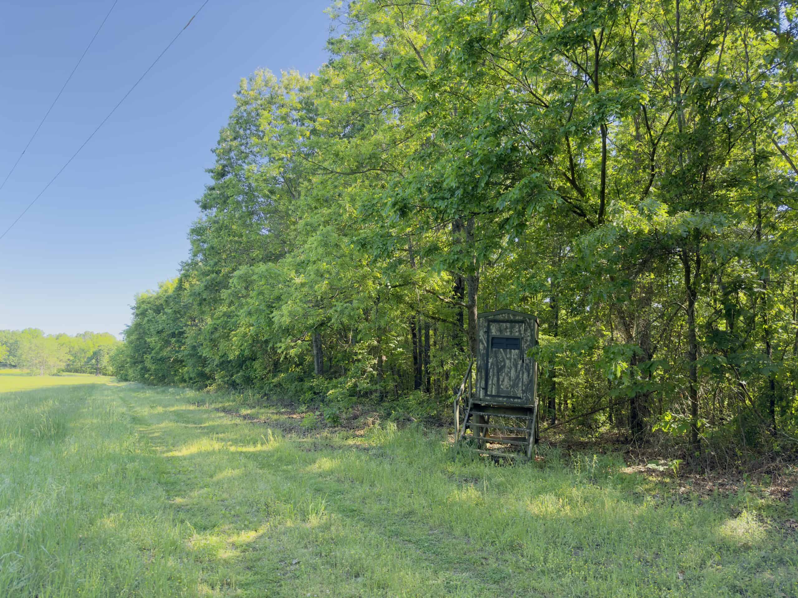 HOME WITH LARGE HUNTING ACREAGE AND FARMING LAND IN ARKANSAS