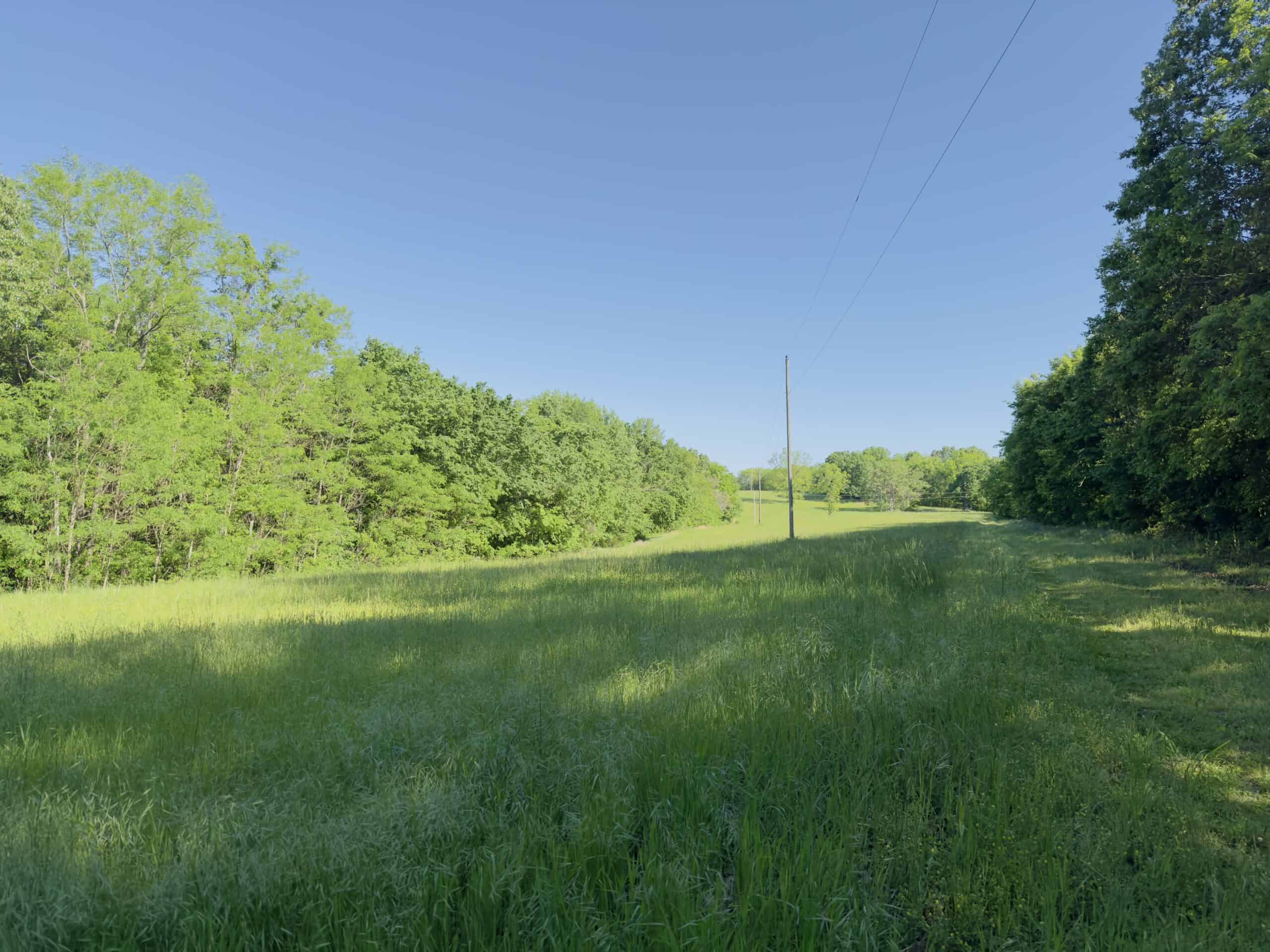 HOME WITH LARGE HUNTING ACREAGE AND FARMING LAND IN ARKANSAS