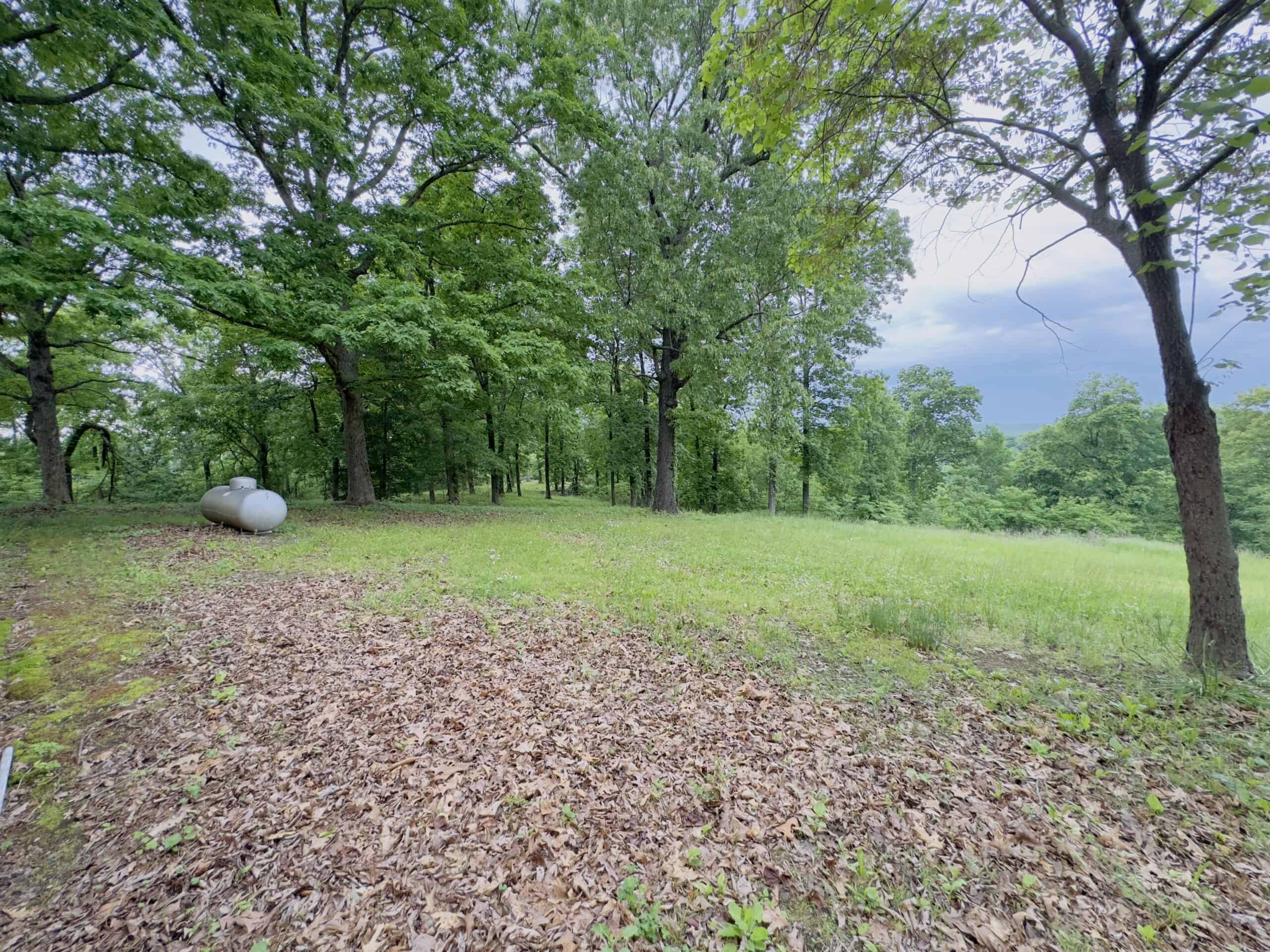 HOME WITH LARGE HUNTING ACREAGE AND FARMING LAND IN ARKANSAS