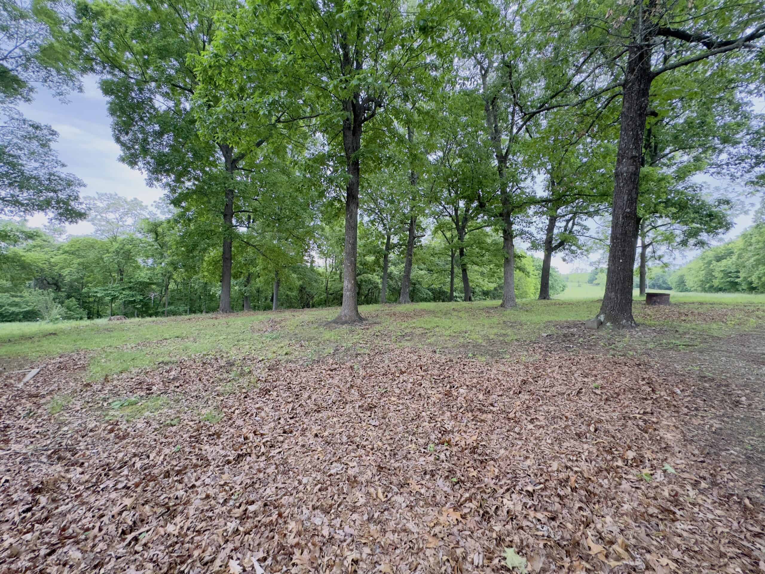 HOME WITH LARGE HUNTING ACREAGE AND FARMING LAND IN ARKANSAS