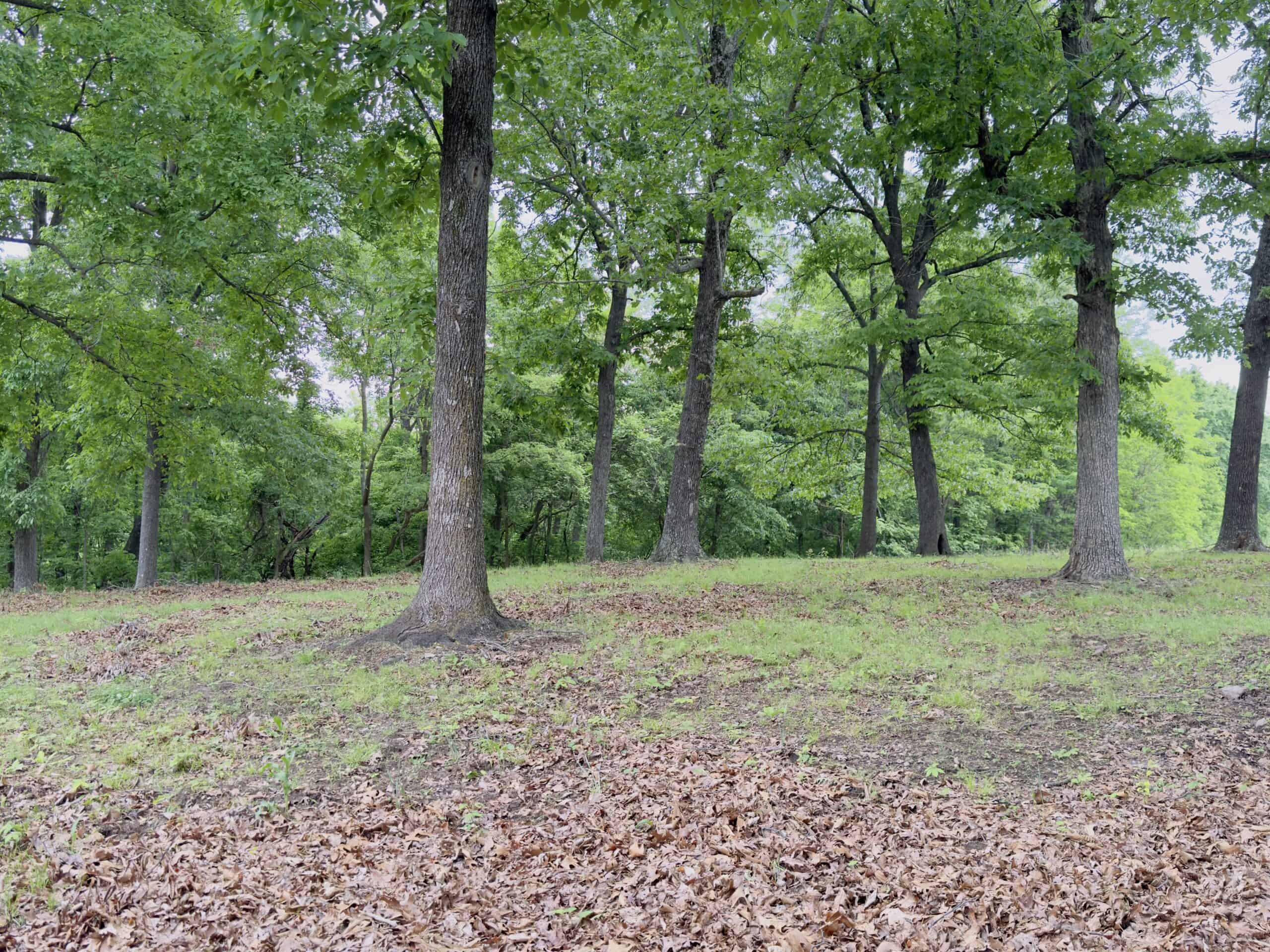 HOME WITH LARGE HUNTING ACREAGE AND FARMING LAND IN ARKANSAS