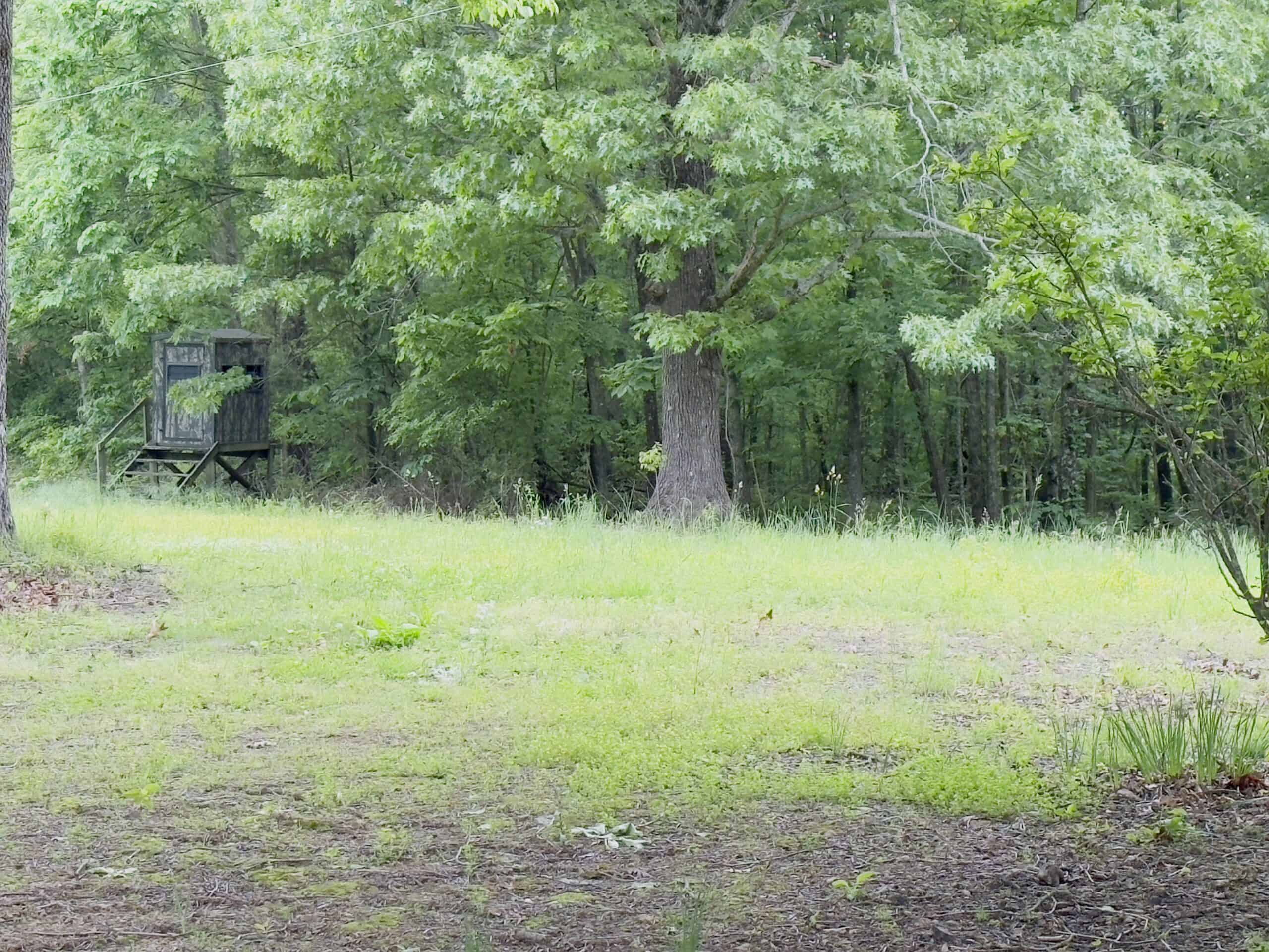HOME WITH LARGE HUNTING ACREAGE AND FARMING LAND IN ARKANSAS