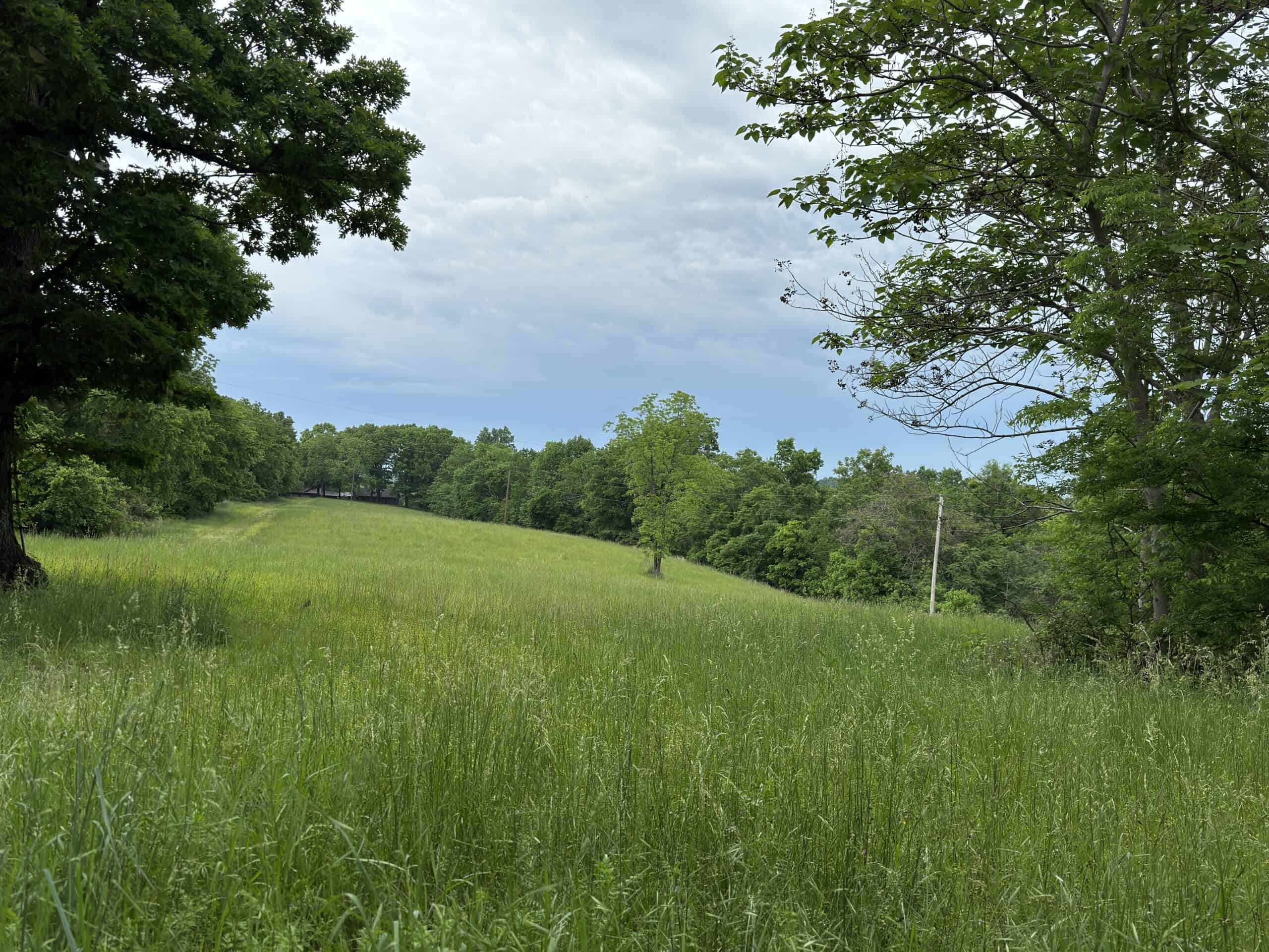 HOME WITH LARGE HUNTING ACREAGE AND FARMING LAND IN ARKANSAS