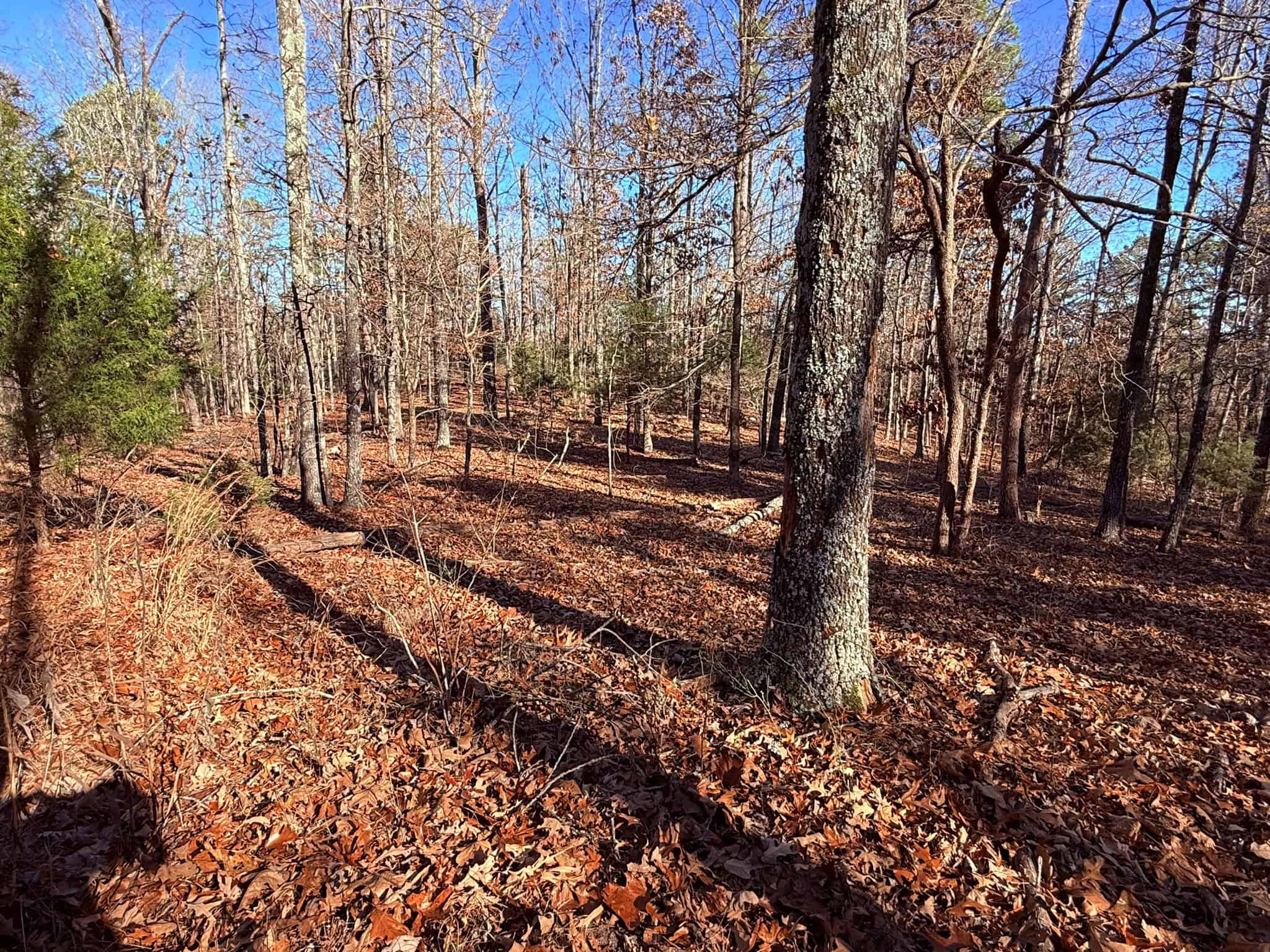 UNRESTRICTED LAND FOR SALE IN ARKANSAS