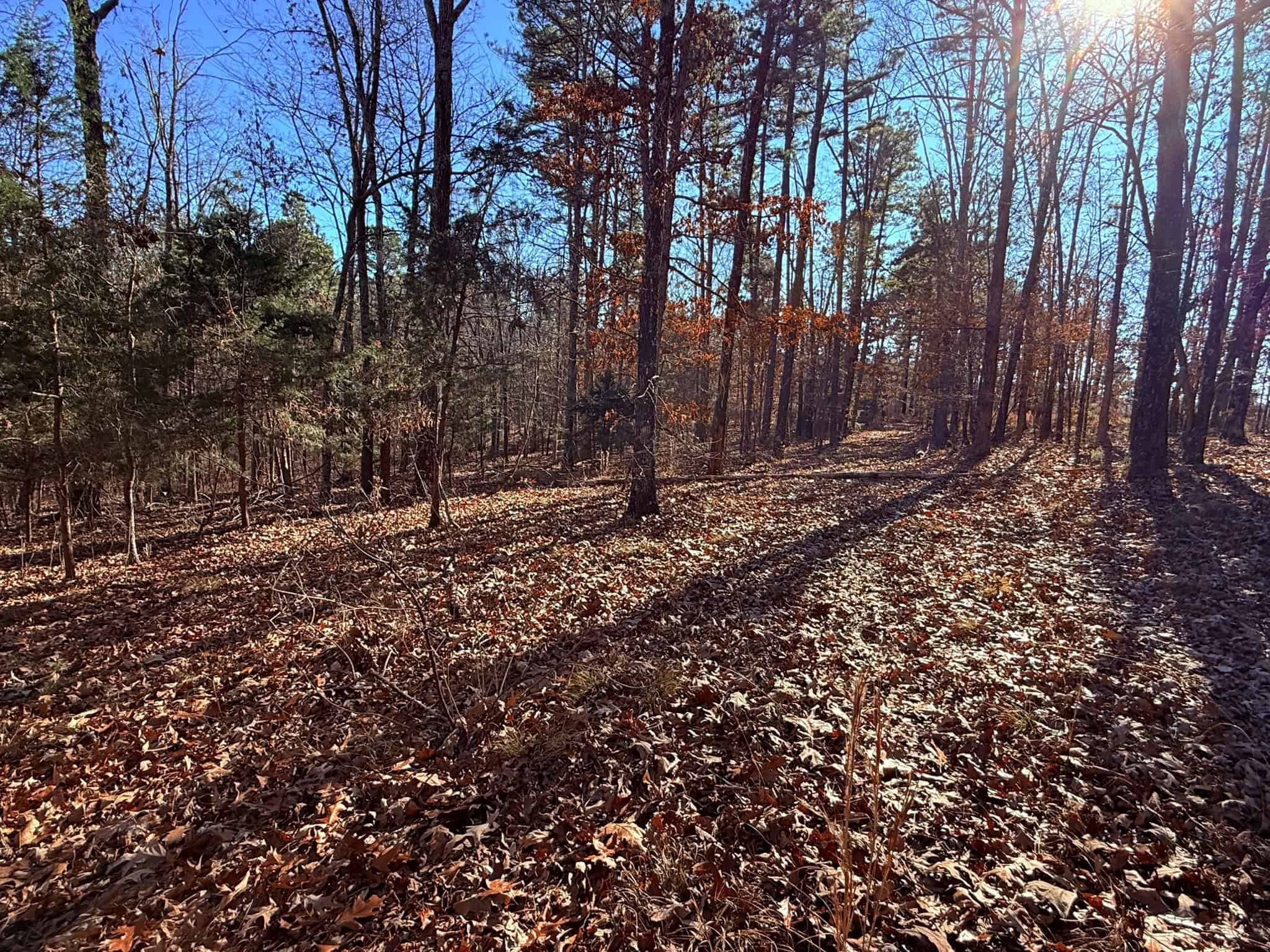 UNRESTRICTED LAND FOR SALE IN ARKANSAS