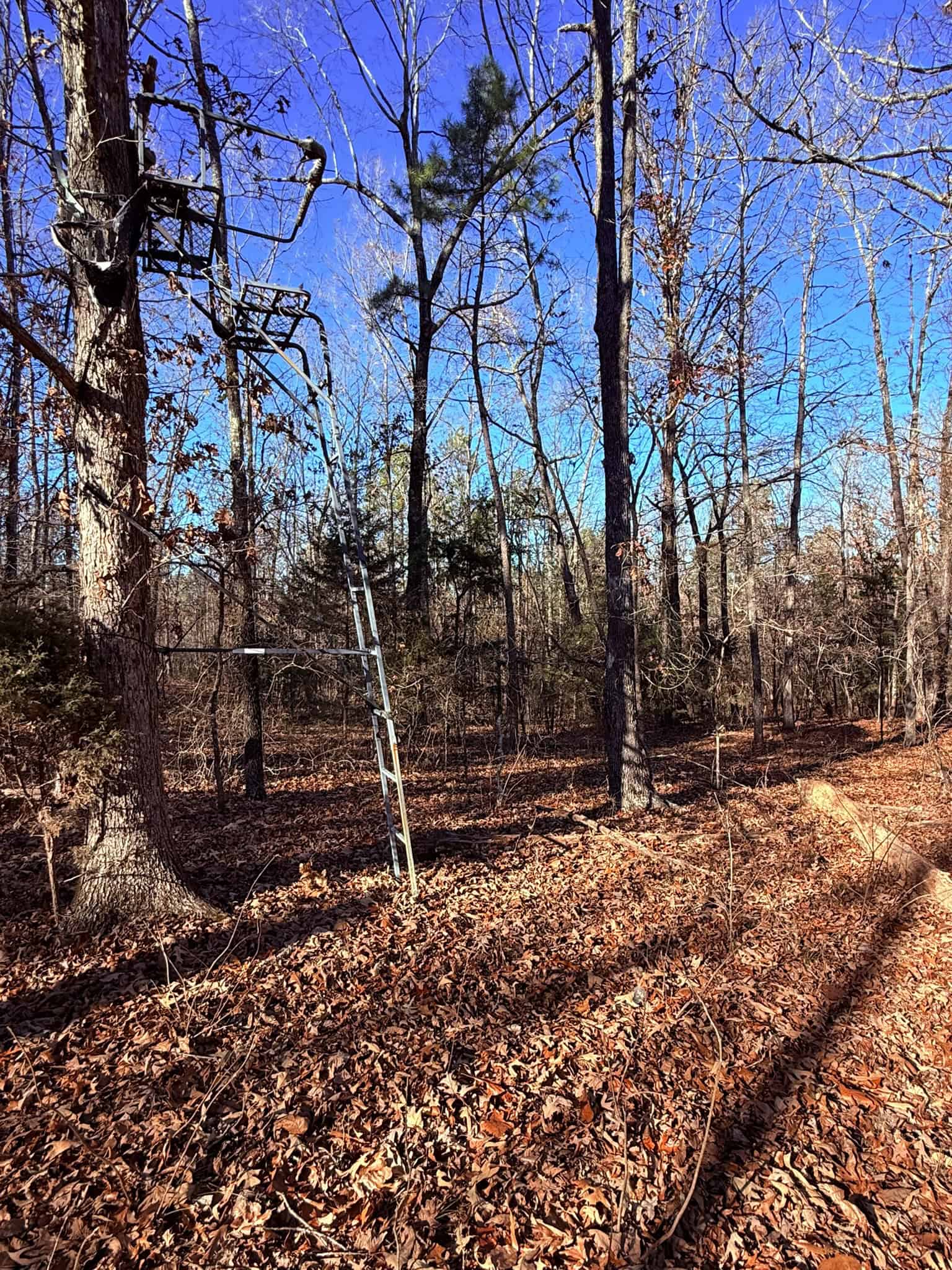 UNRESTRICTED LAND FOR SALE IN ARKANSAS
