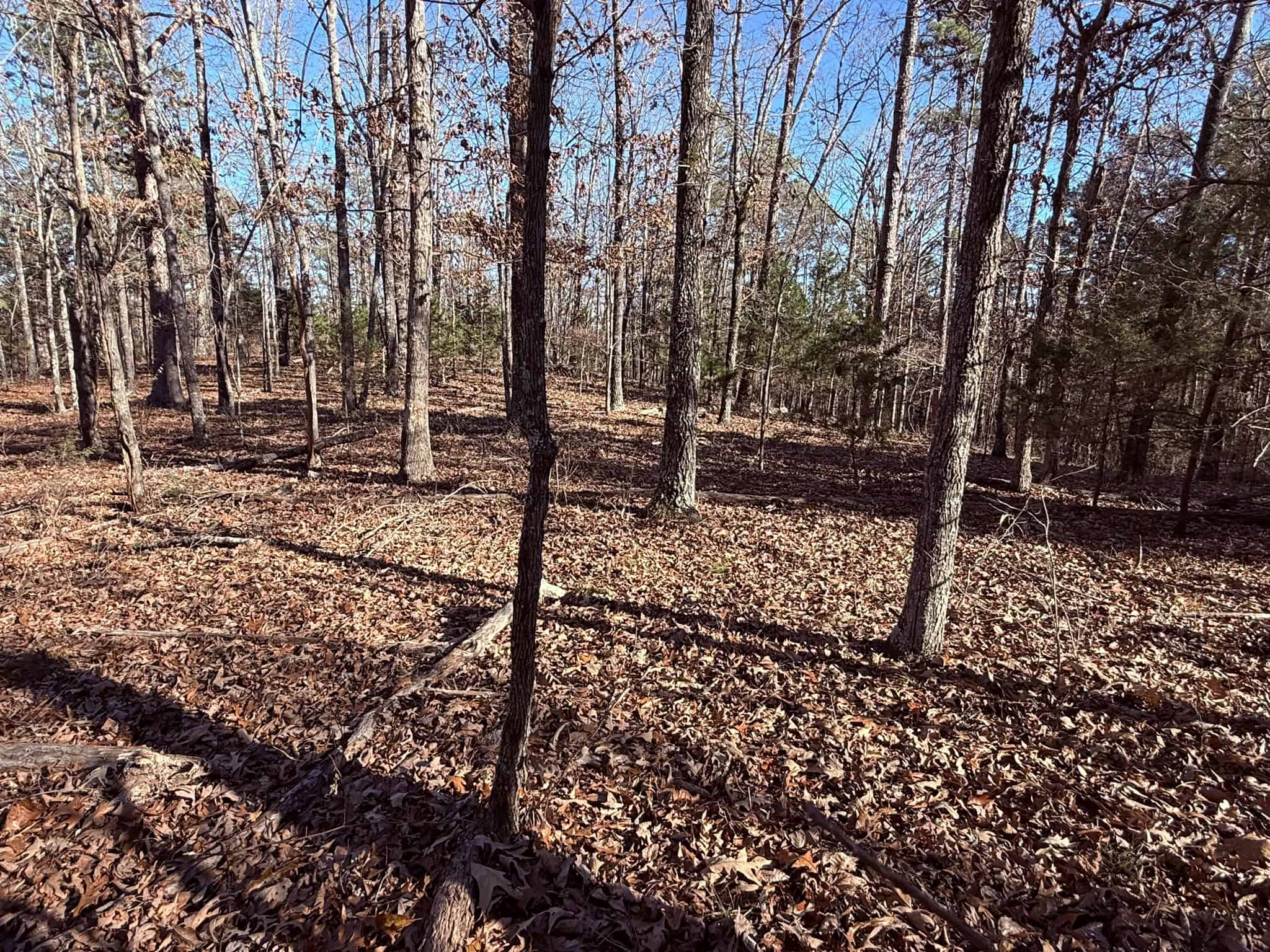 UNRESTRICTED LAND FOR SALE IN ARKANSAS