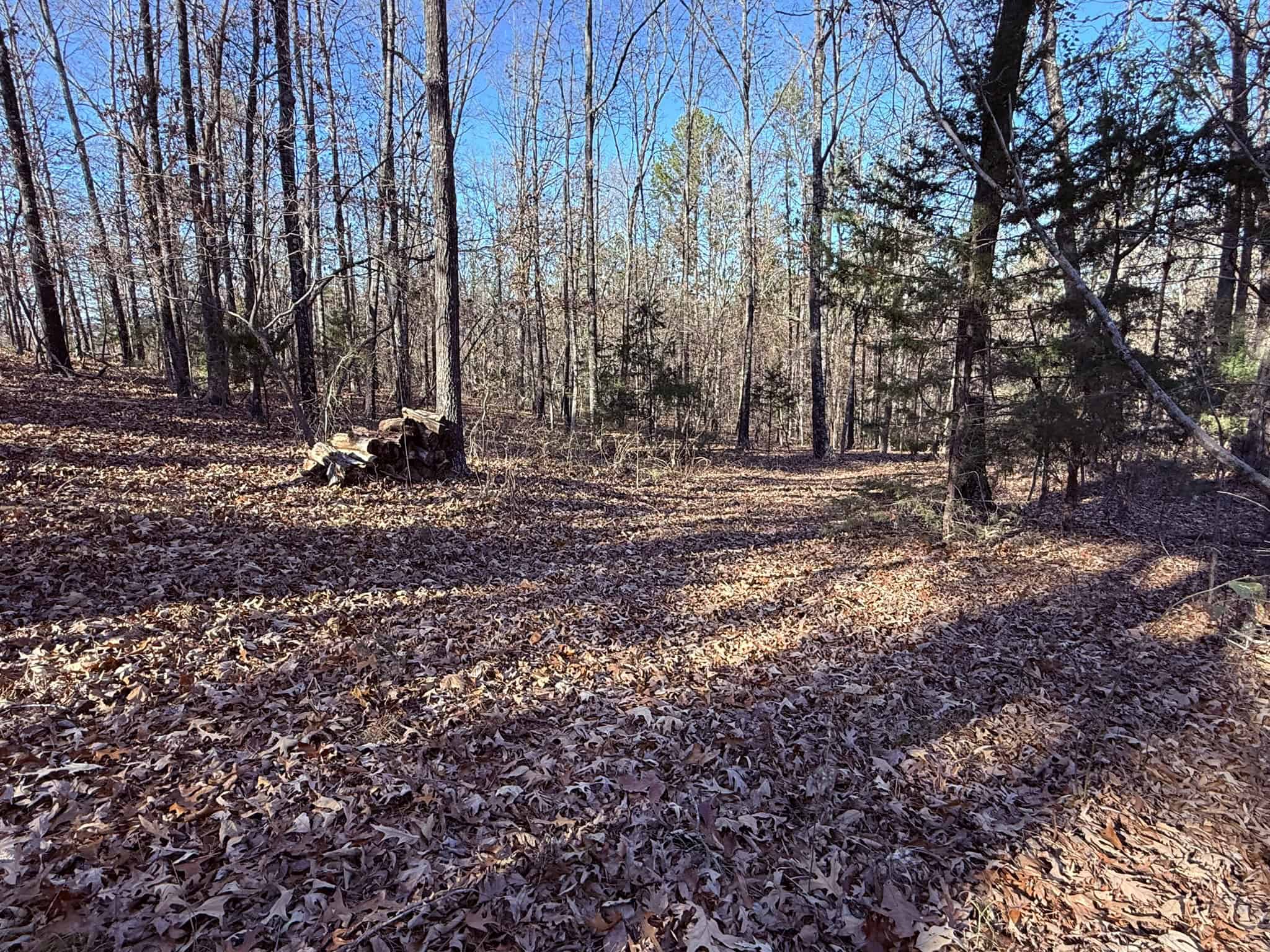 UNRESTRICTED LAND FOR SALE IN ARKANSAS