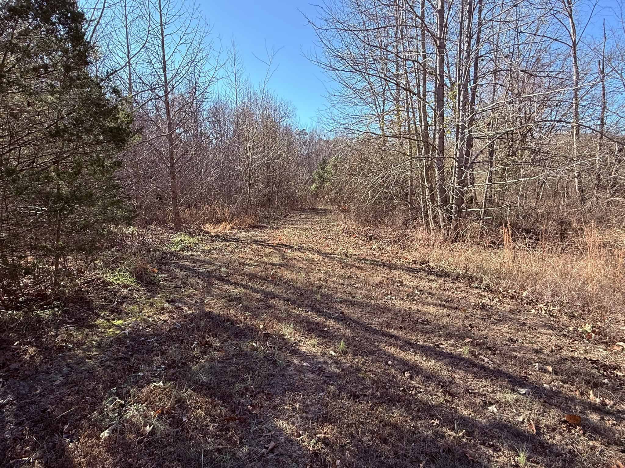 UNRESTRICTED LAND FOR SALE IN ARKANSAS