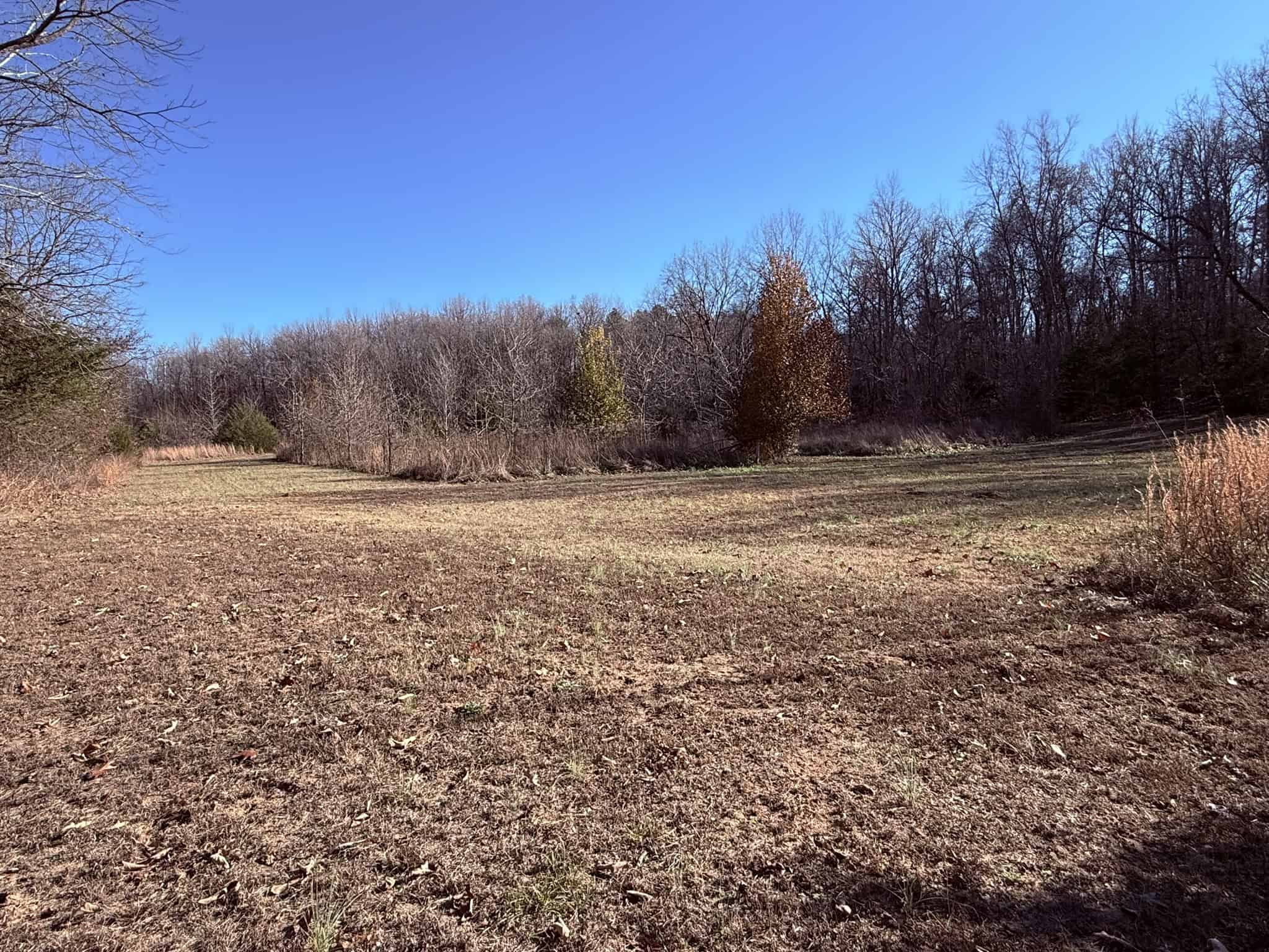 UNRESTRICTED LAND FOR SALE IN ARKANSAS