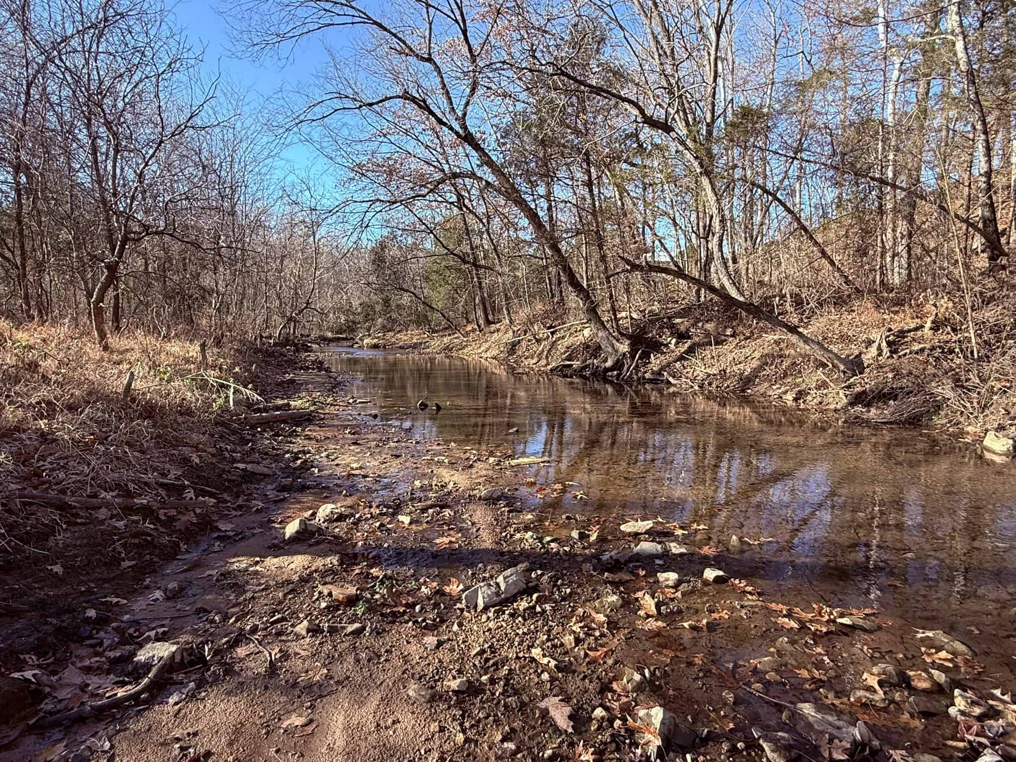 UNRESTRICTED LAND FOR SALE IN ARKANSAS