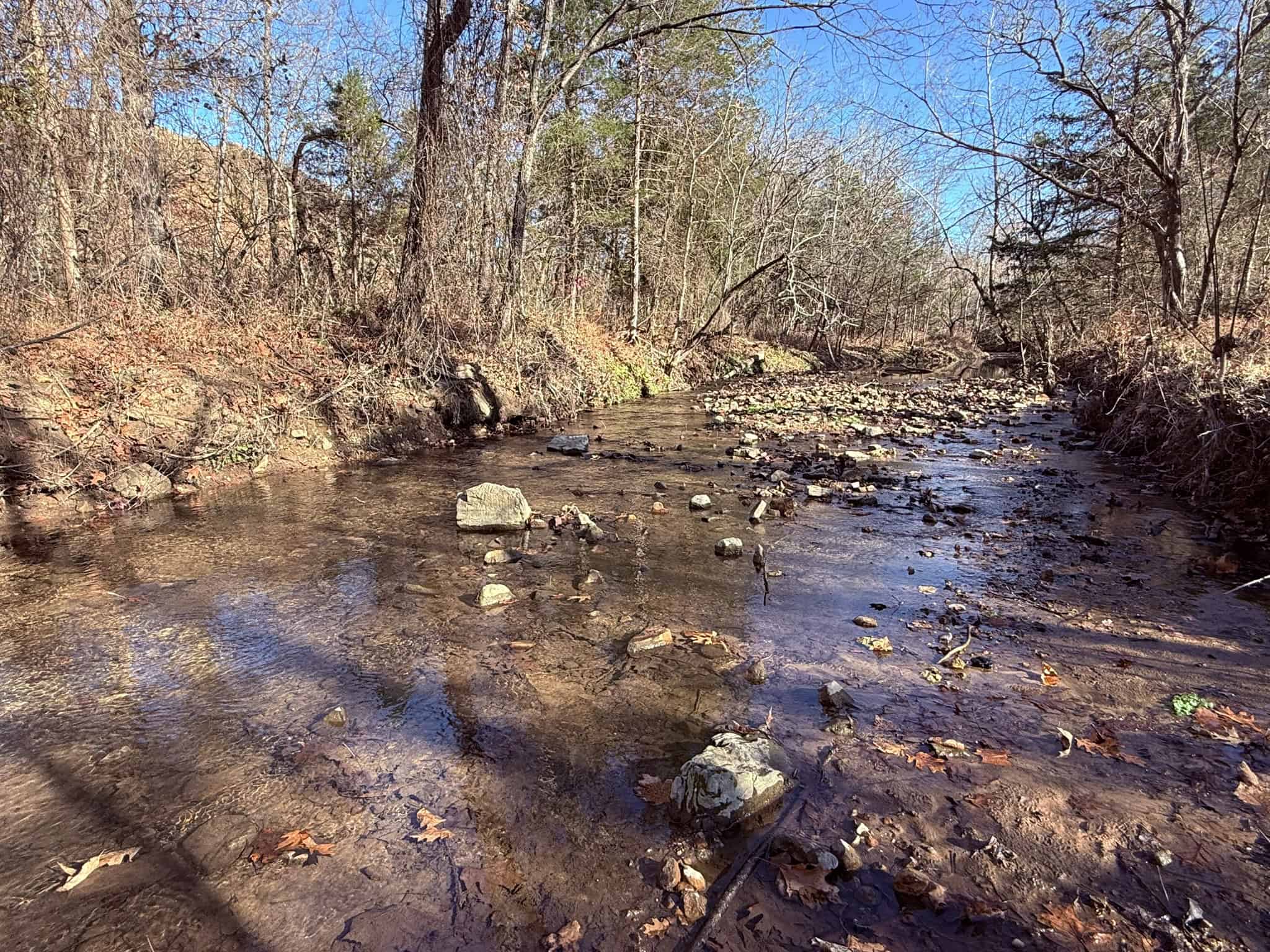 UNRESTRICTED LAND FOR SALE IN ARKANSAS