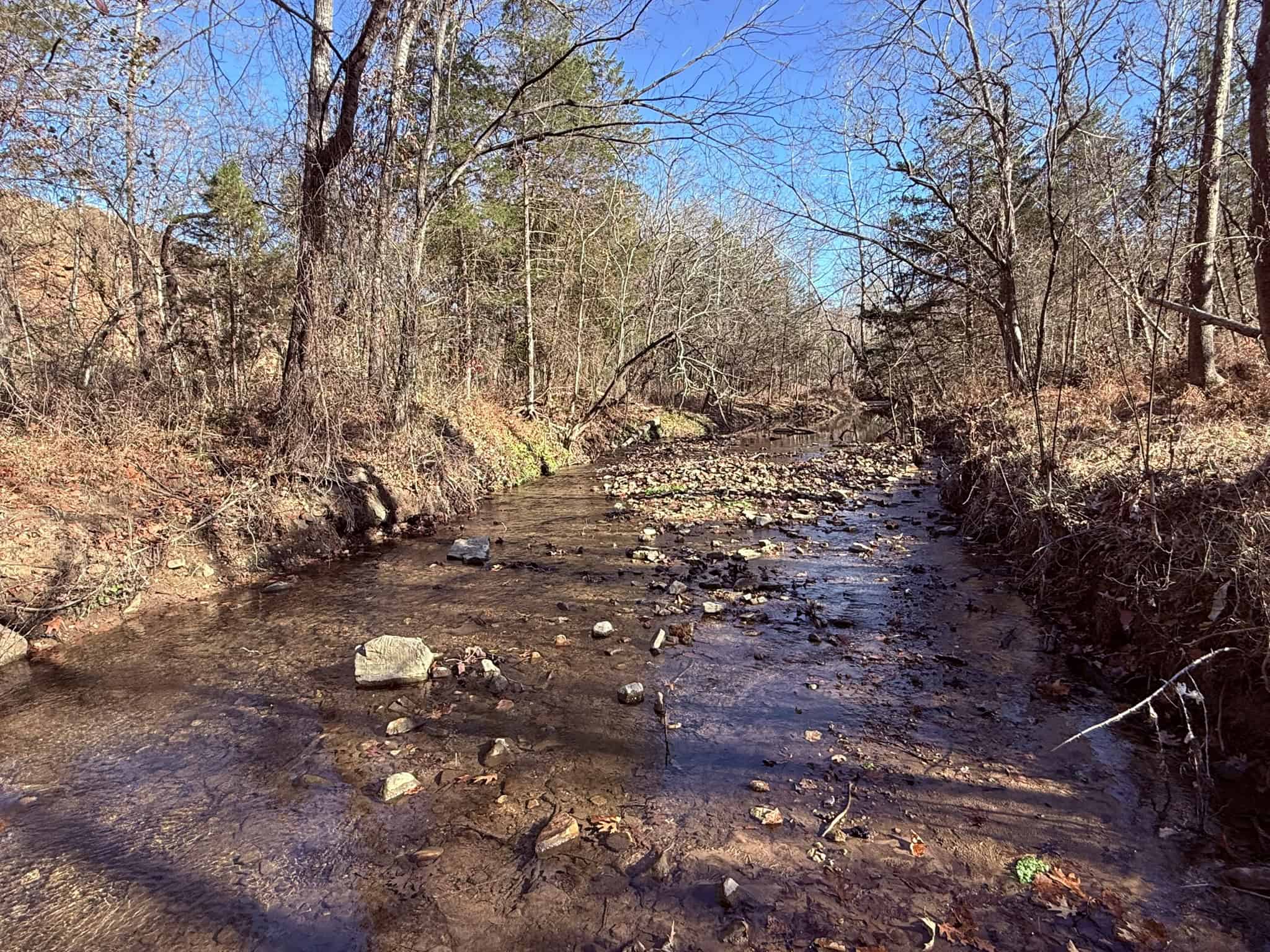 UNRESTRICTED LAND FOR SALE IN ARKANSAS