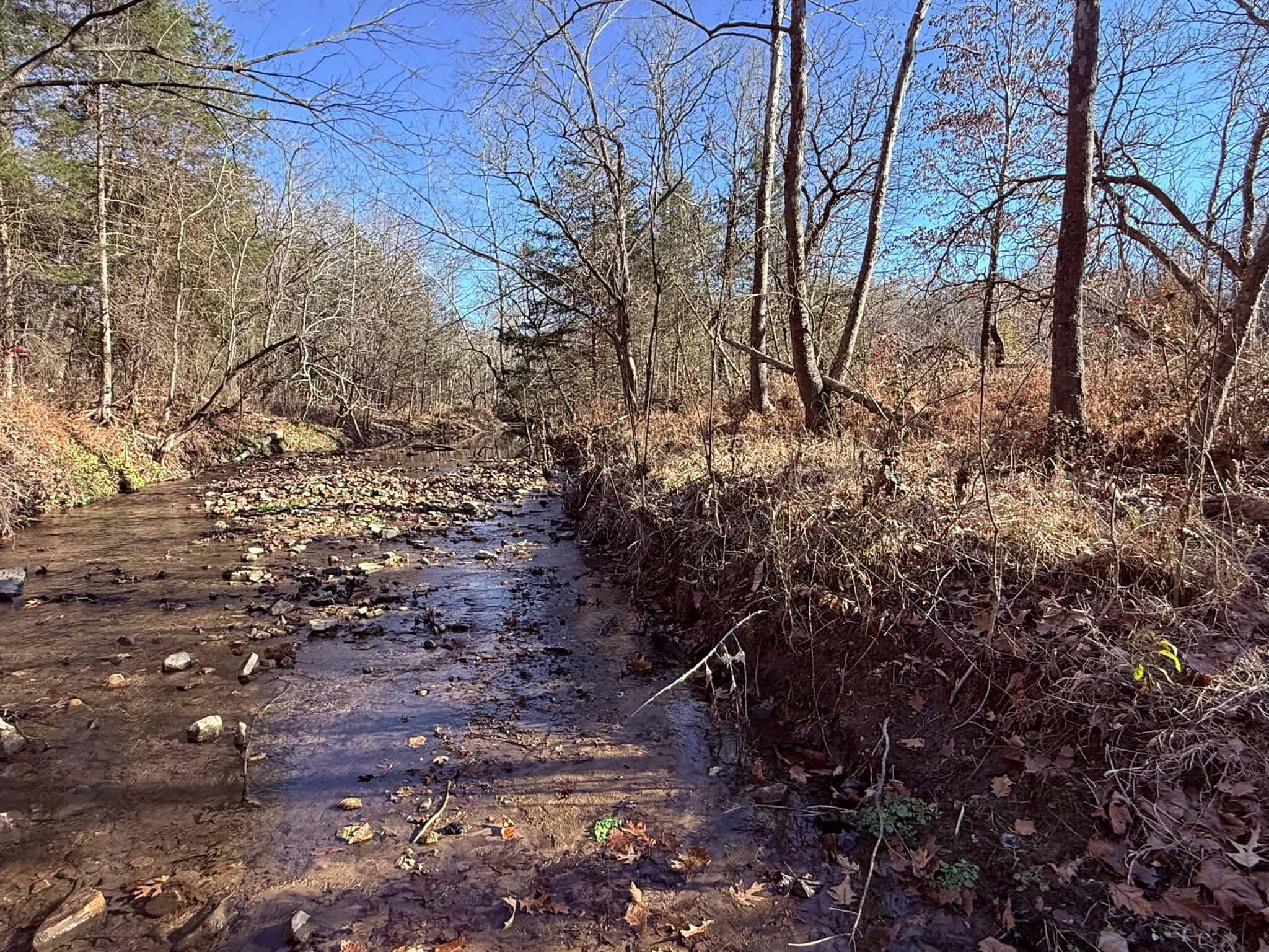 UNRESTRICTED LAND FOR SALE IN ARKANSAS