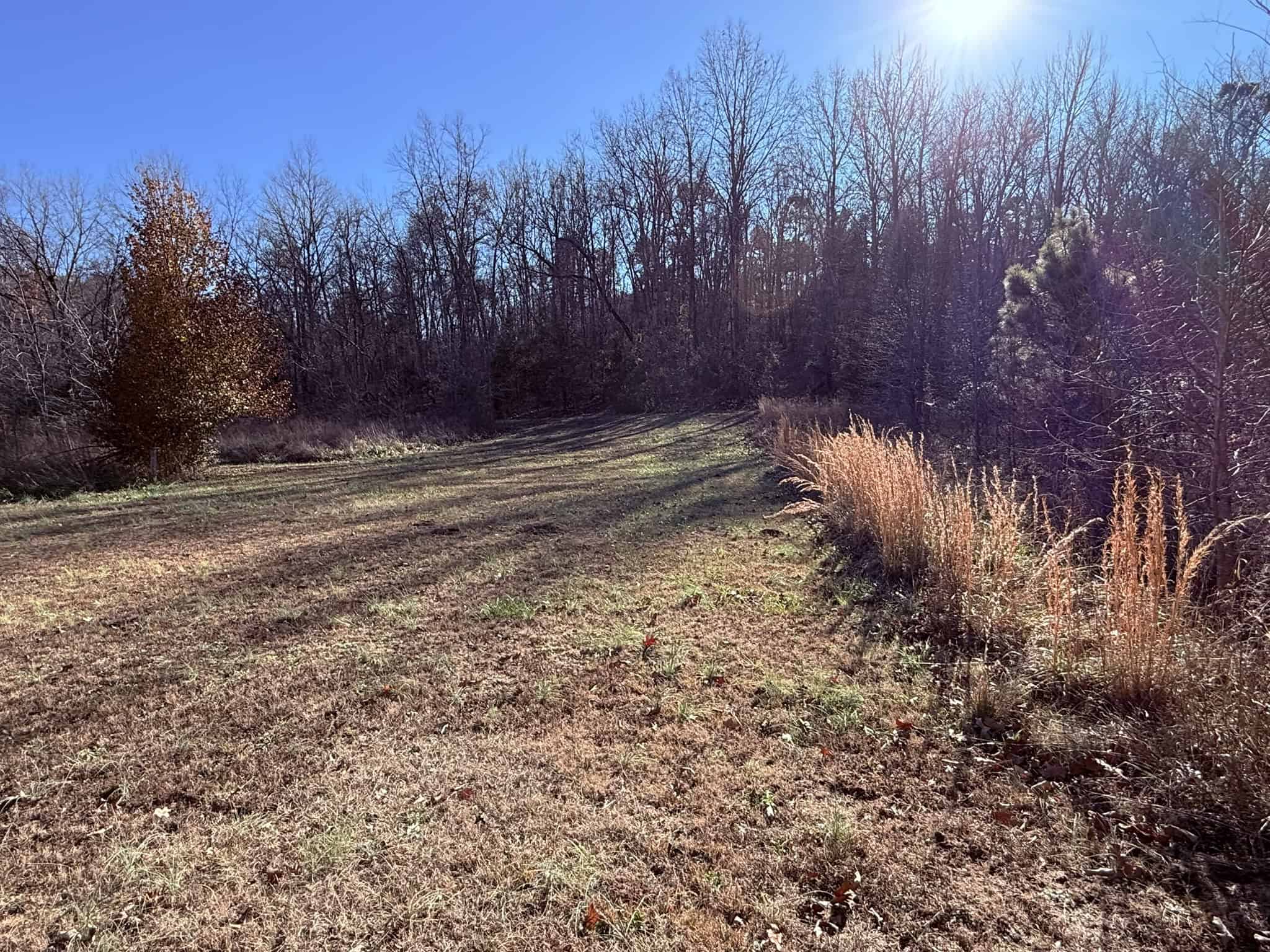 UNRESTRICTED LAND FOR SALE IN ARKANSAS