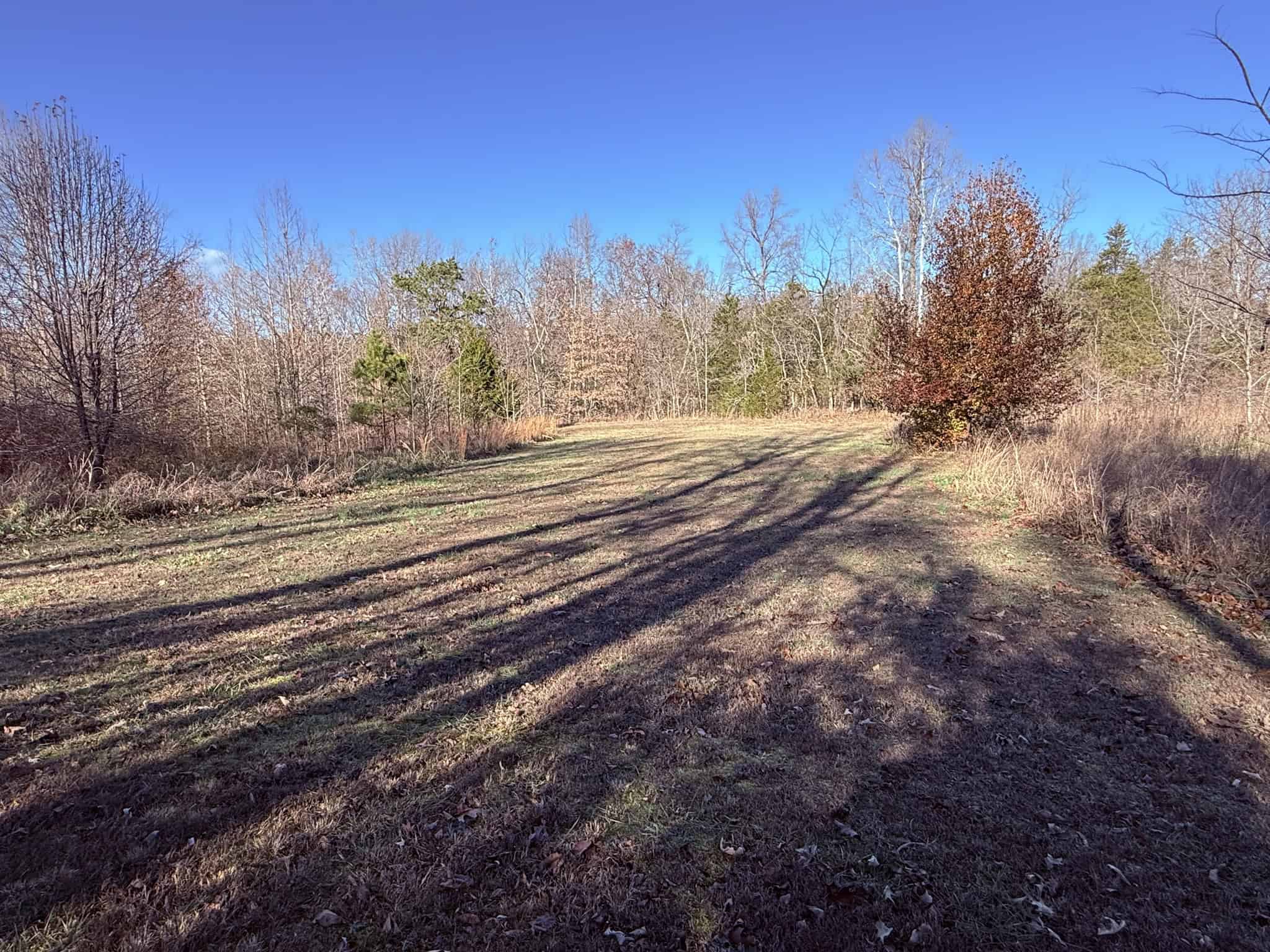 UNRESTRICTED LAND FOR SALE IN ARKANSAS