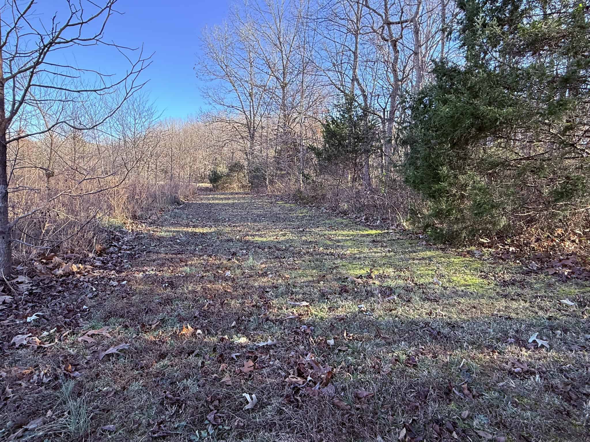 UNRESTRICTED LAND FOR SALE IN ARKANSAS