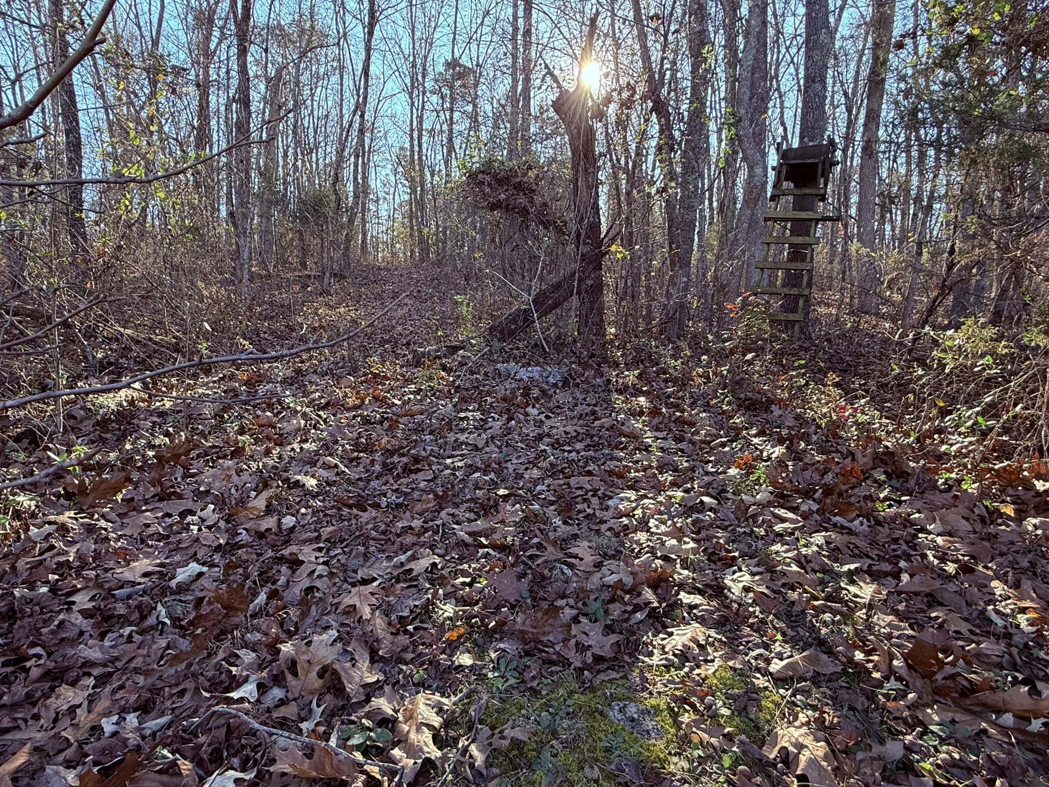 UNRESTRICTED LAND FOR SALE IN ARKANSAS