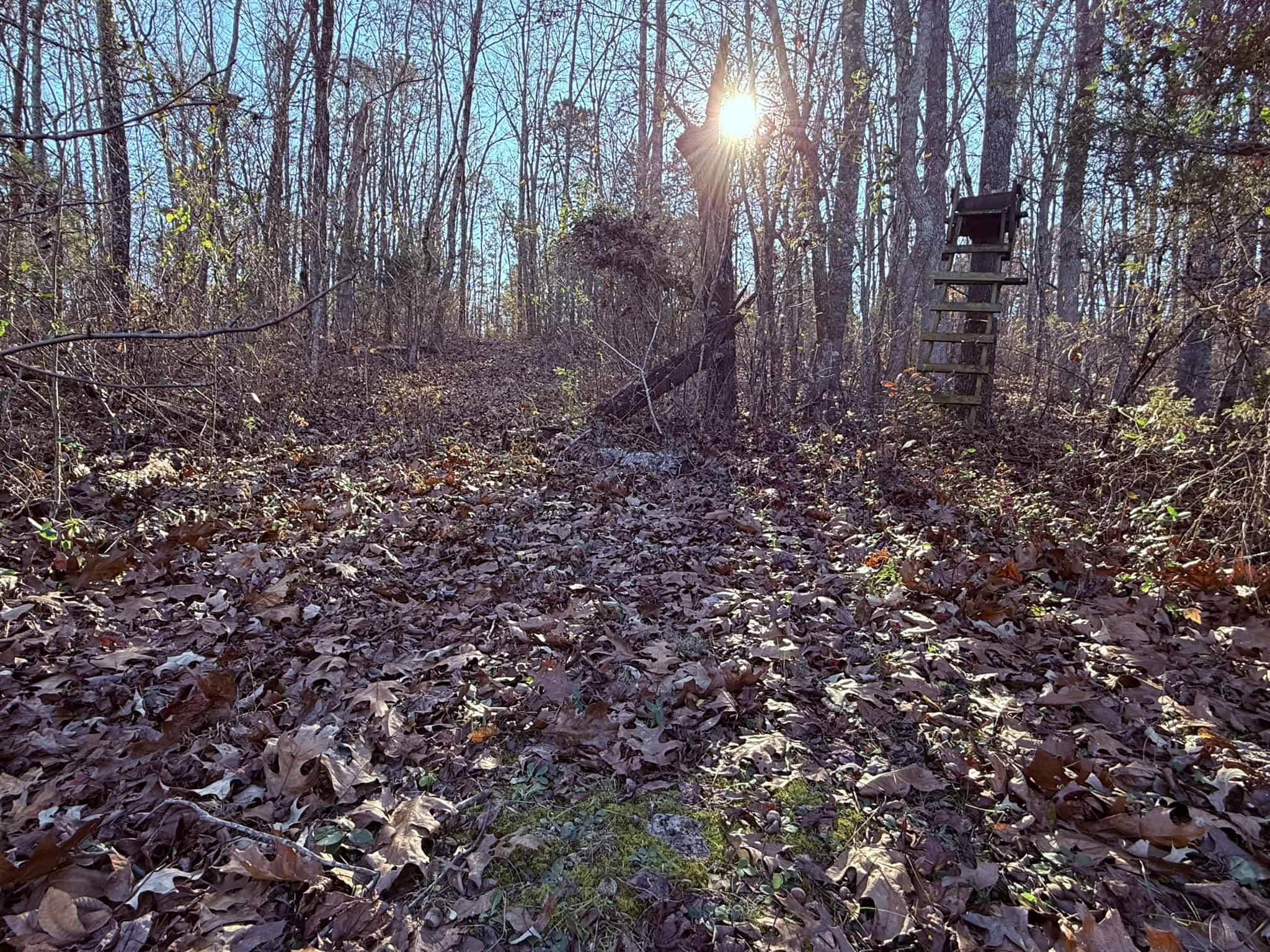 UNRESTRICTED LAND FOR SALE IN ARKANSAS