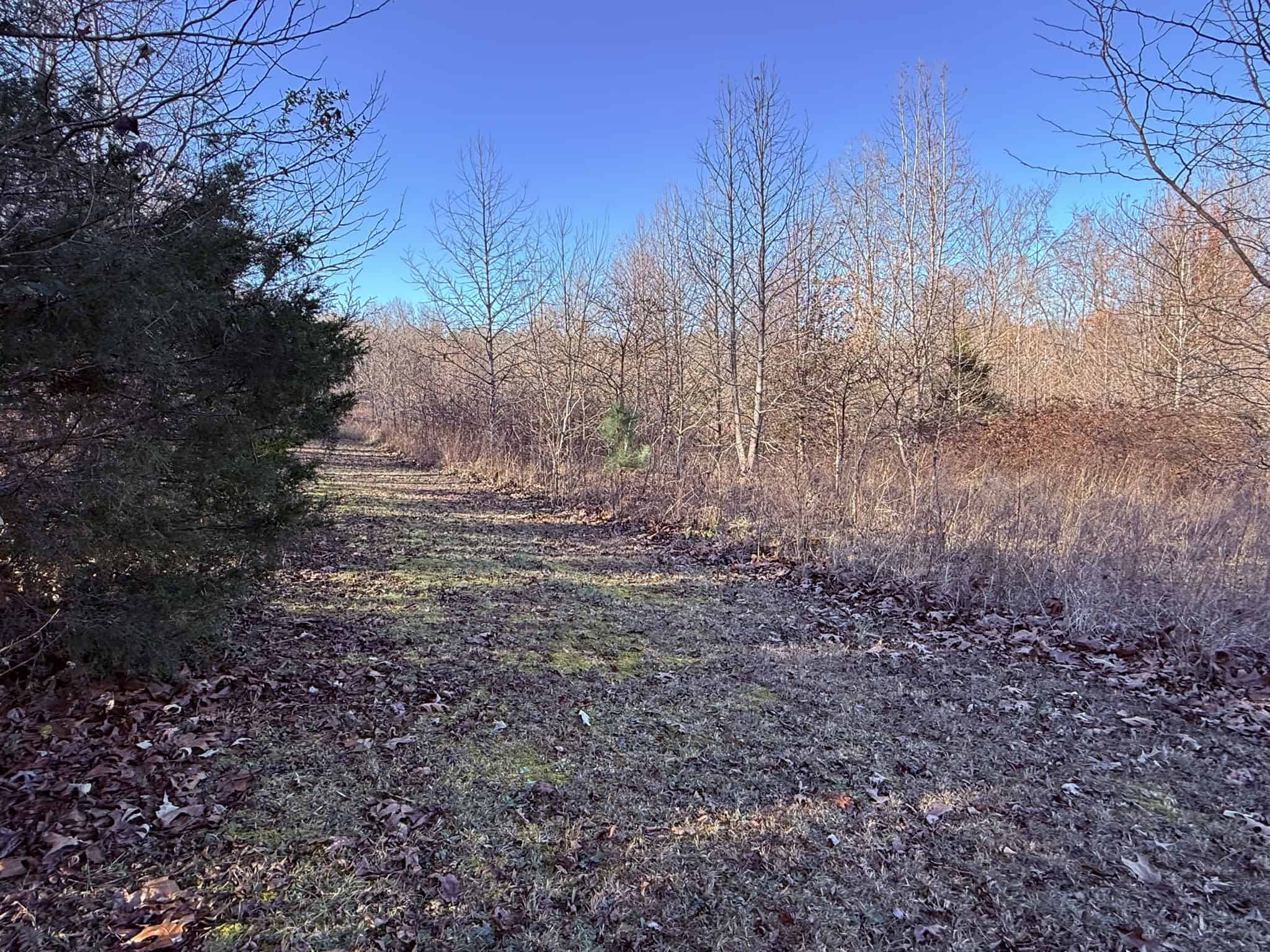 UNRESTRICTED LAND FOR SALE IN ARKANSAS