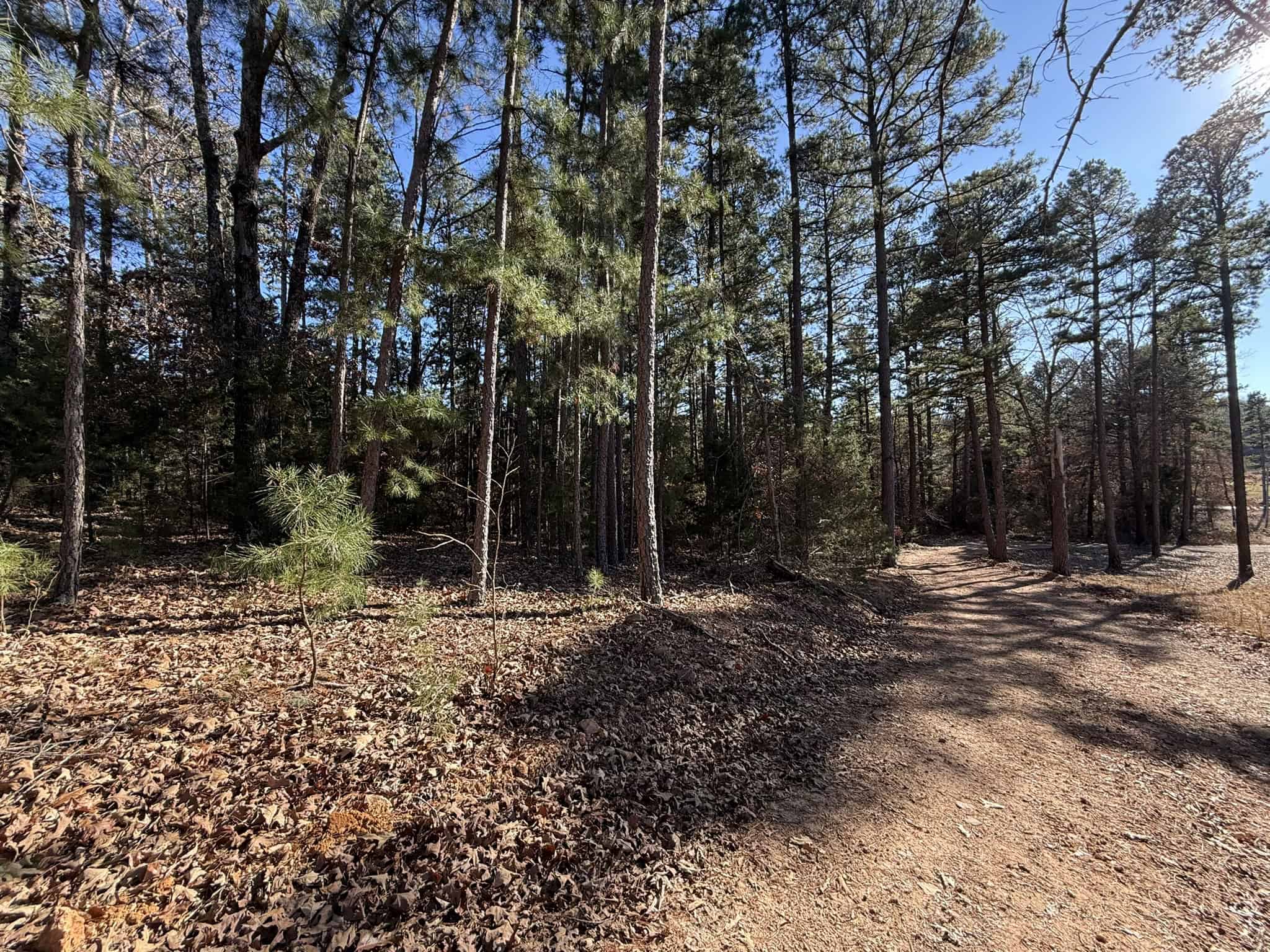 UNRESTRICTED LAND FOR SALE IN ARKANSAS