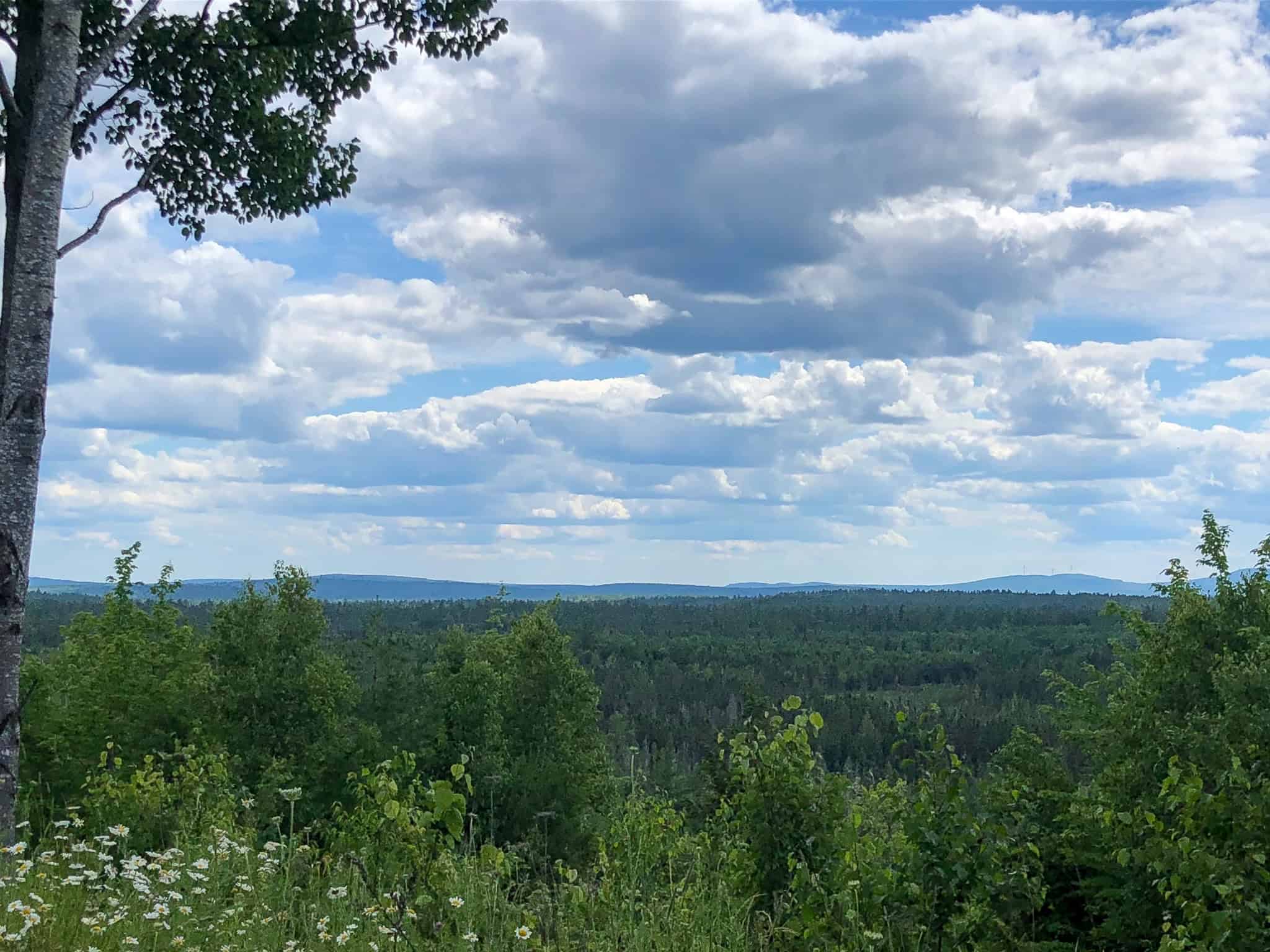 Secluded Cabin on 550 Acres with Stunning Views & Ultimate Privacy