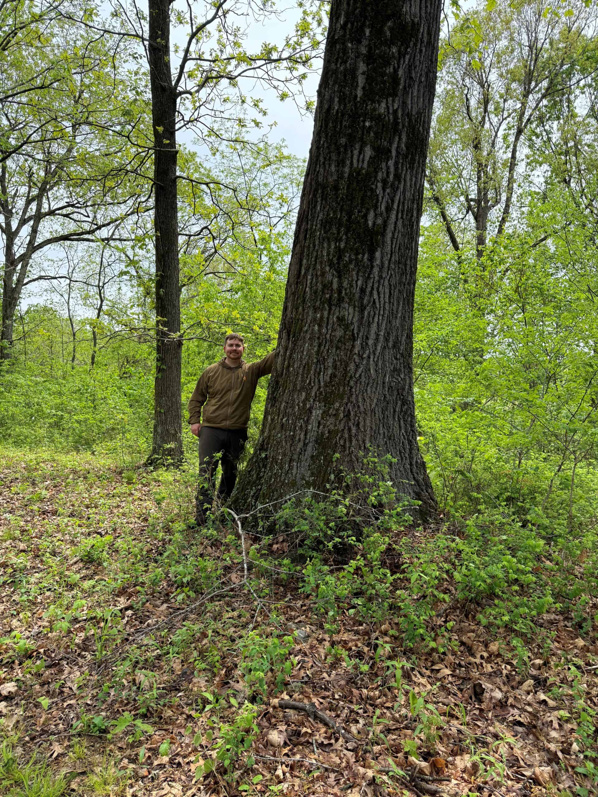 HOME WITH LARGE HUNTING ACREAGE AND FARMING LAND IN ARKANSAS