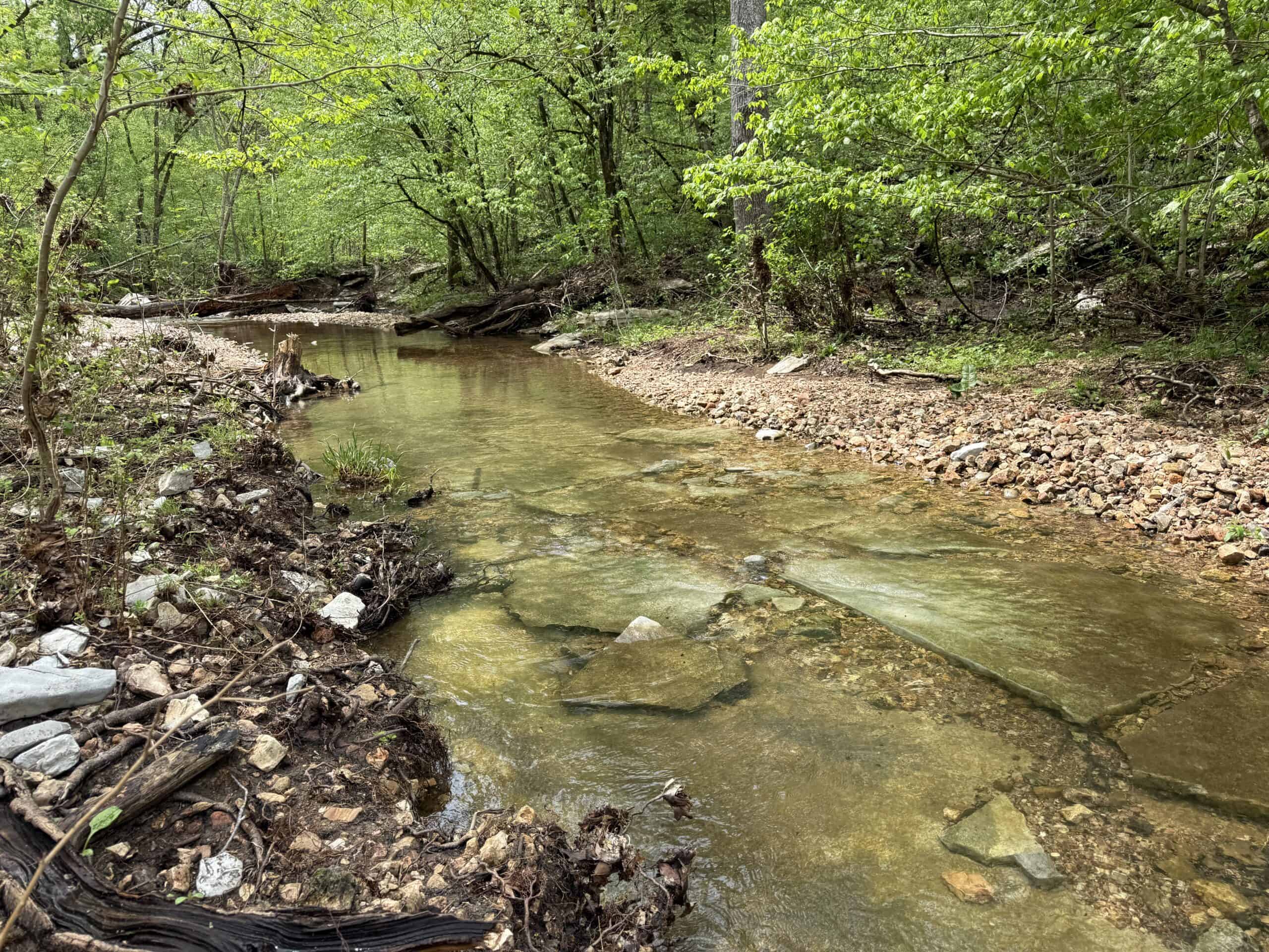HOME WITH LARGE HUNTING ACREAGE AND FARMING LAND IN ARKANSAS