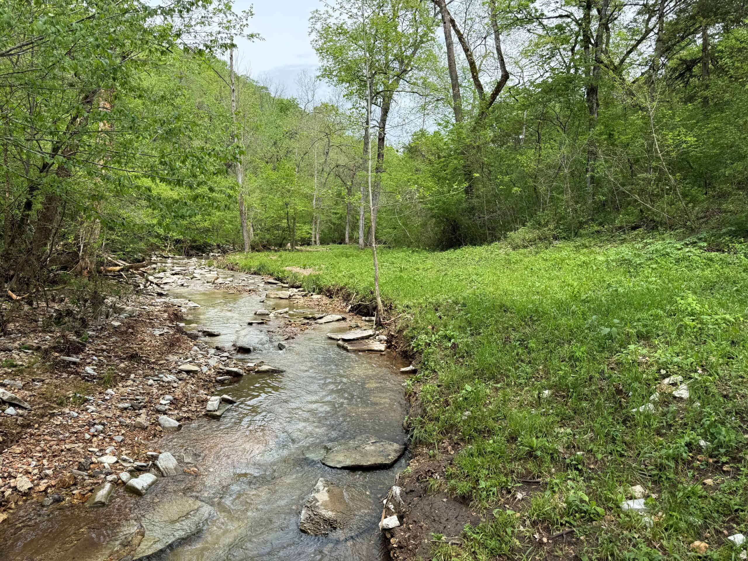 HOME WITH LARGE HUNTING ACREAGE AND FARMING LAND IN ARKANSAS