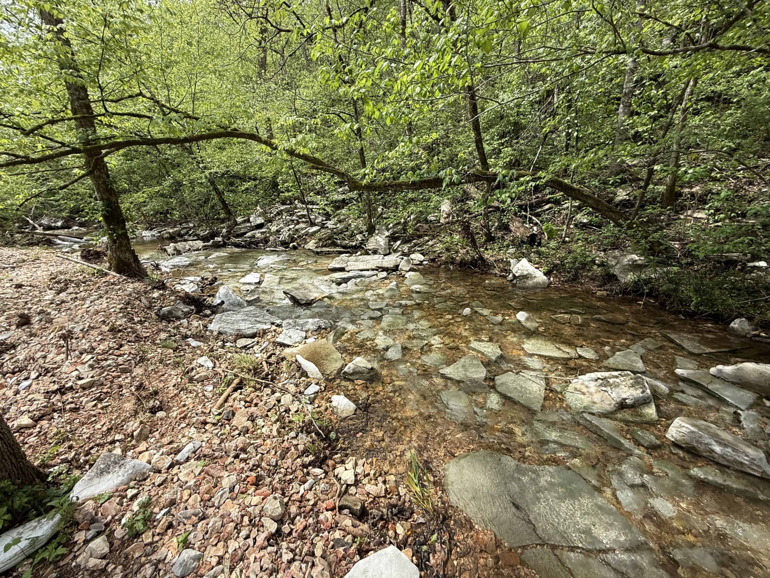 HOME WITH LARGE HUNTING ACREAGE AND FARMING LAND IN ARKANSAS