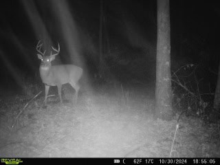 79+/- Acres in Sauk County WI with Cabin