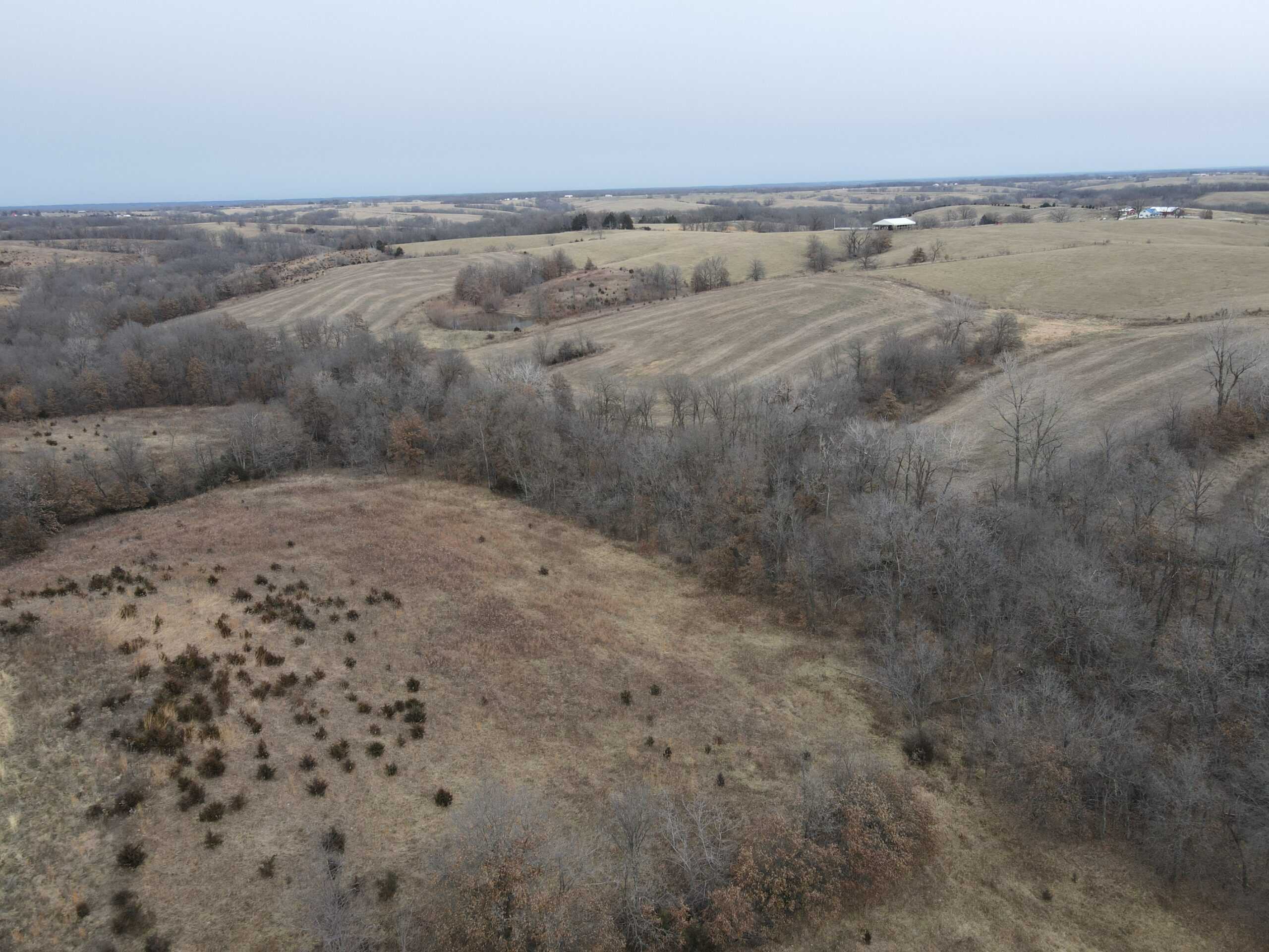 Northern Missouri Powerhouse! 160 acres Adair County