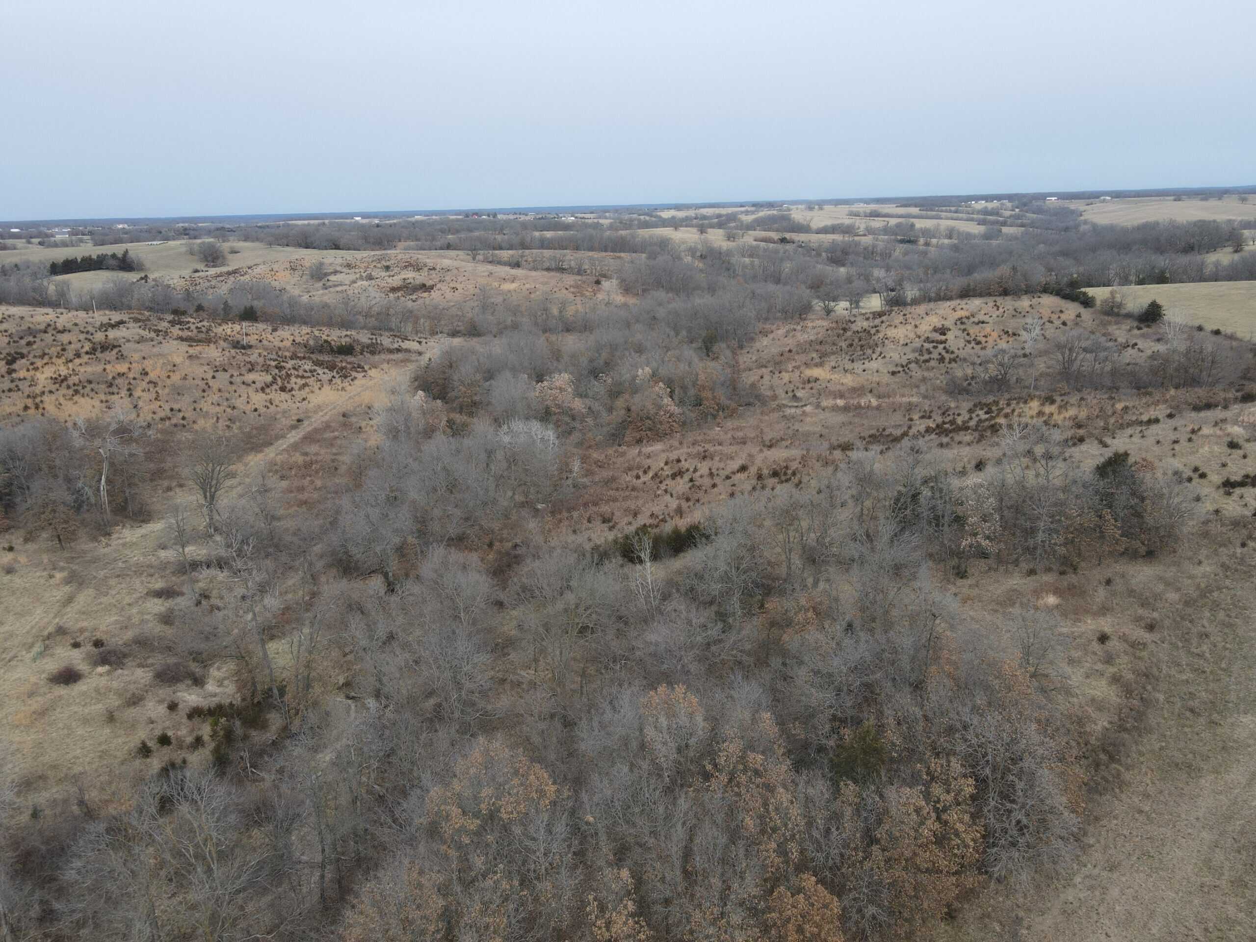 Northern Missouri Powerhouse! 160 acres Adair County