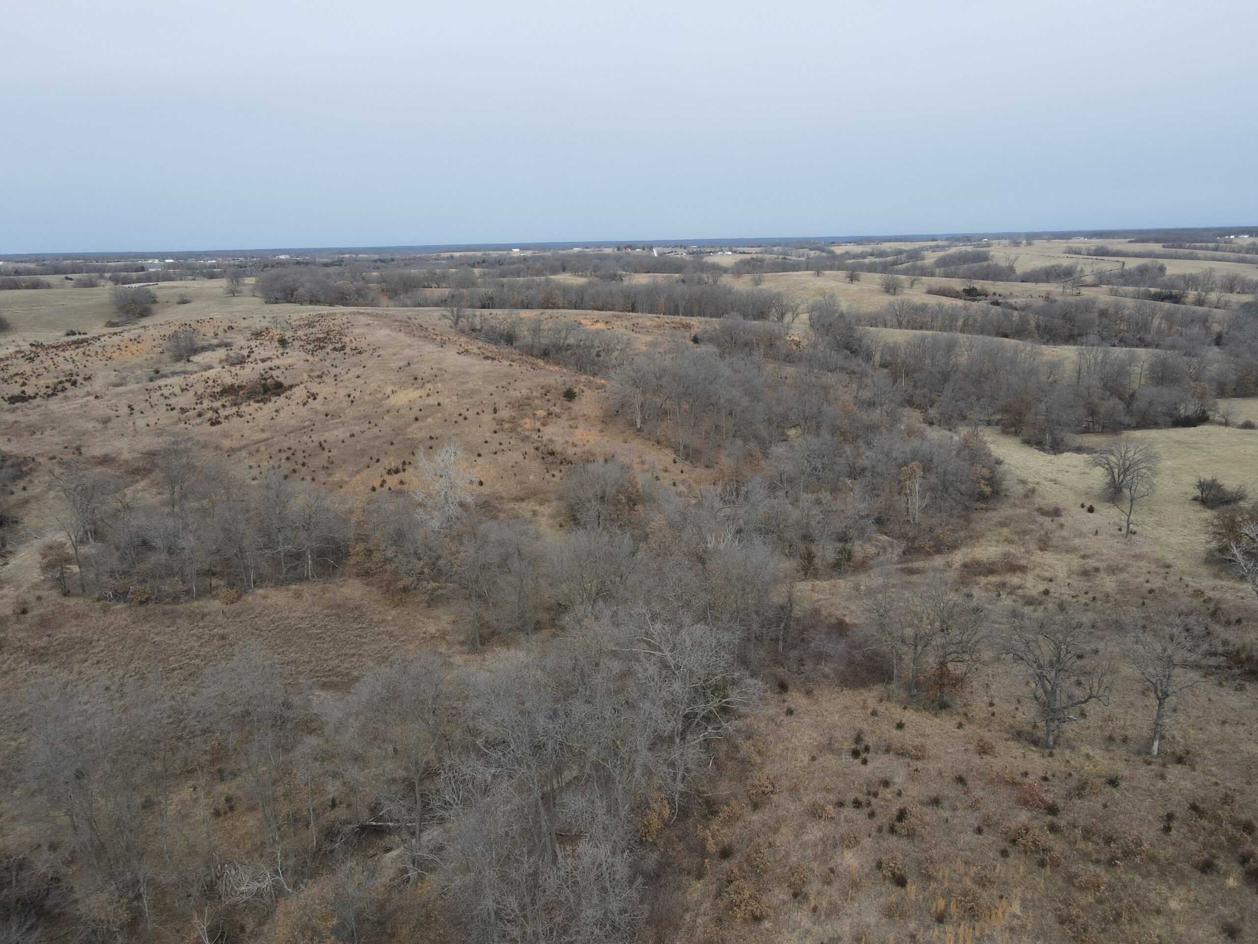 Northern Missouri Powerhouse! 160 acres Adair County