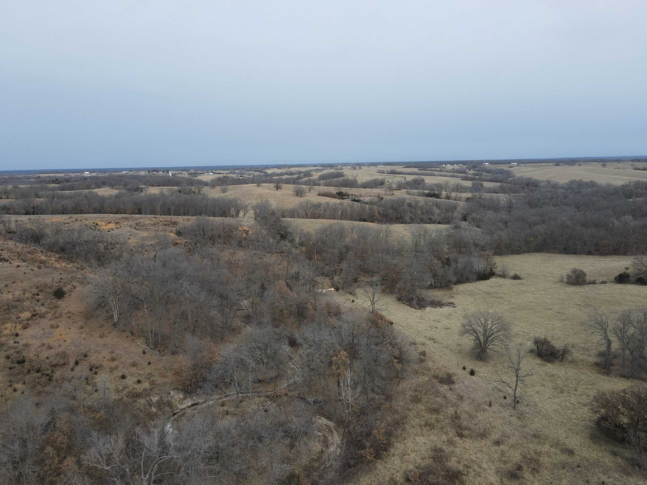 Northern Missouri Powerhouse! 160 acres Adair County