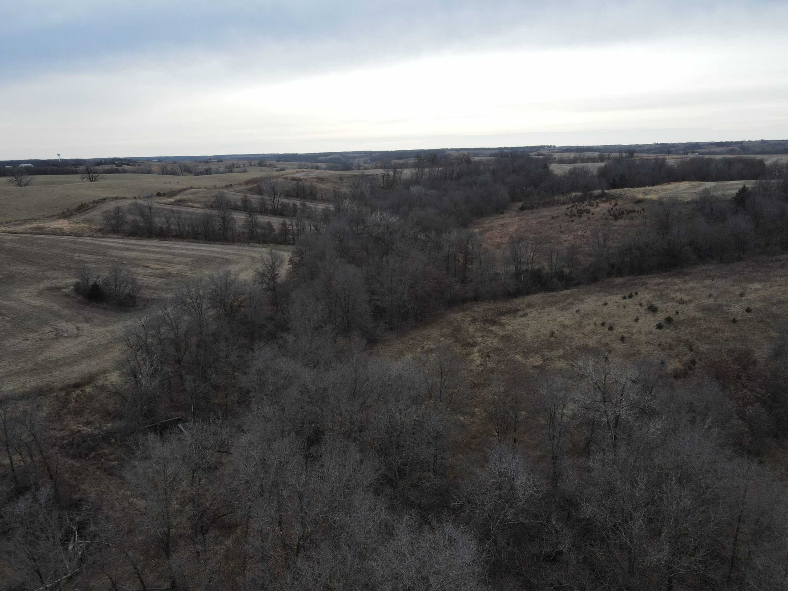 Northern Missouri Powerhouse! 160 acres Adair County